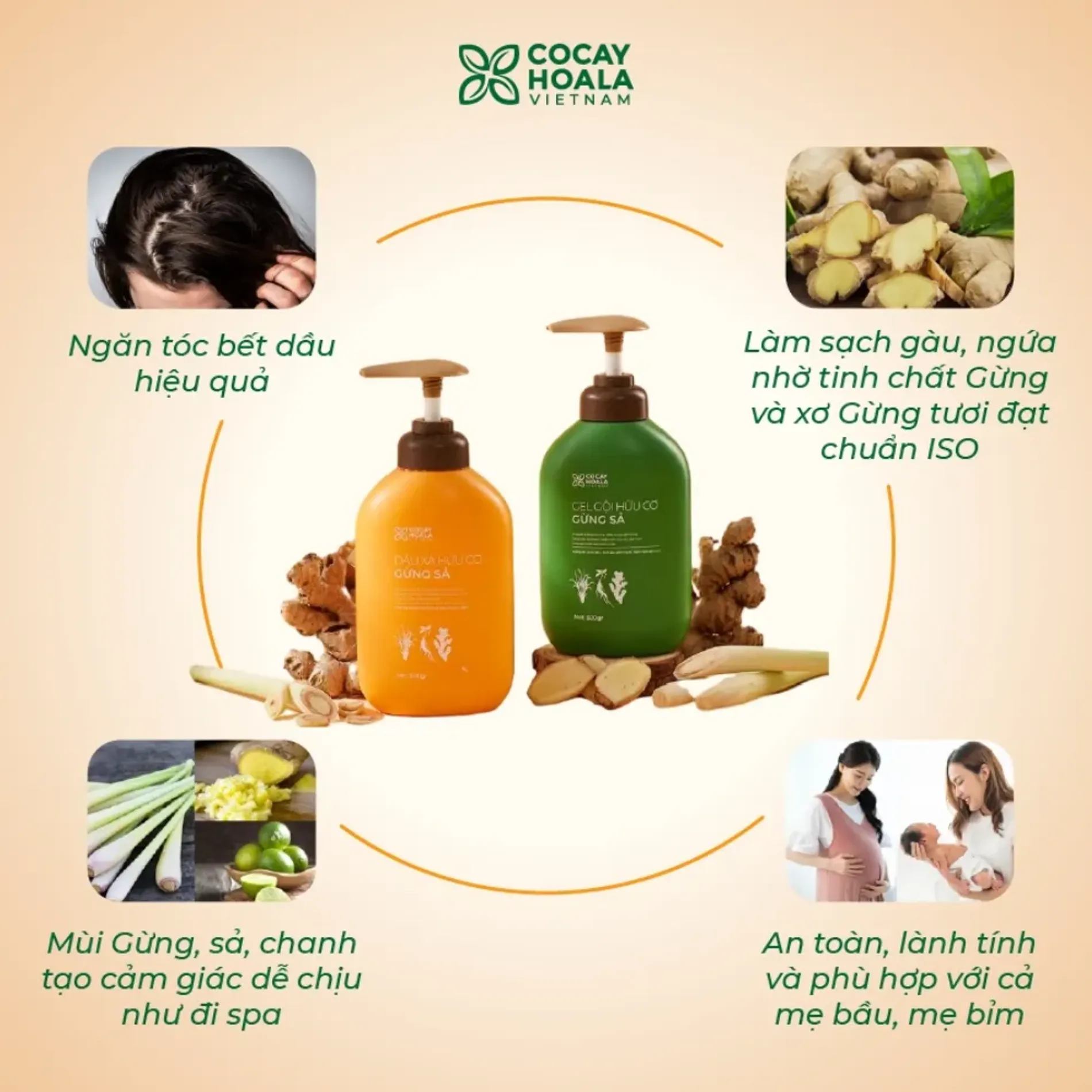 bo-goi-xa-huu-co-gung-sa-cocayhoala-ginger-lemongrass-6
