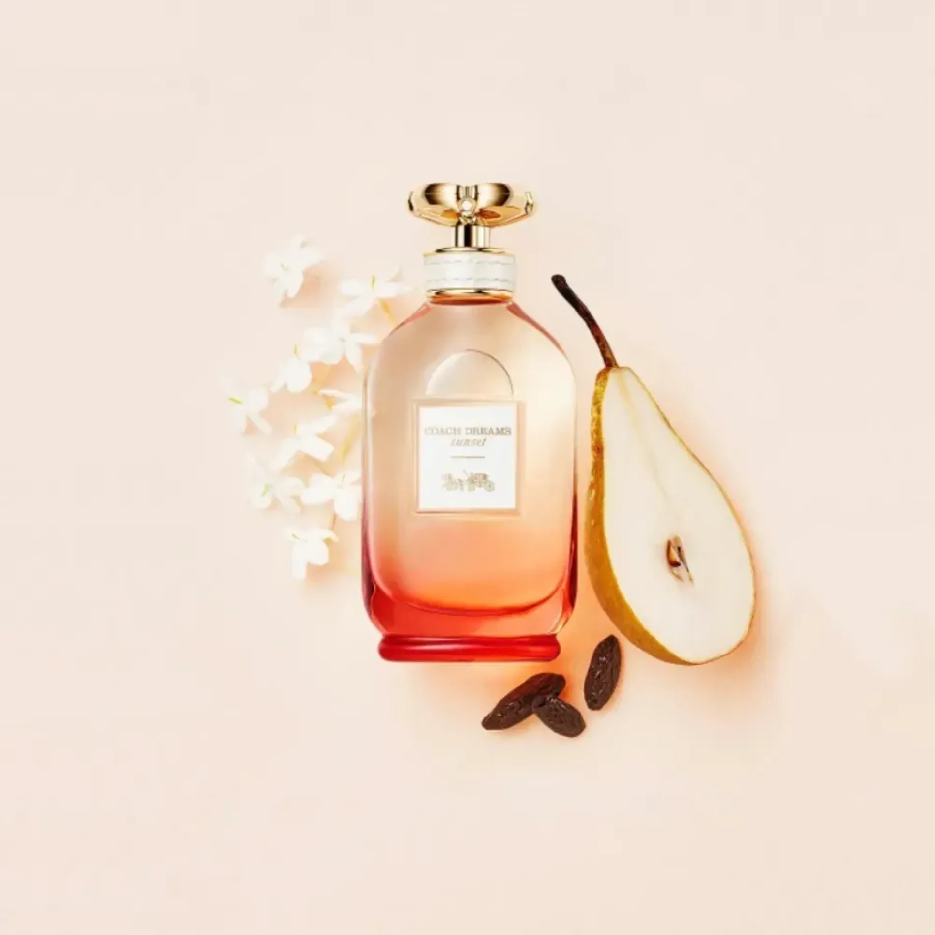 nuoc-hoa-nu-coach-dreams-sunset-eau-de-parfum-2
