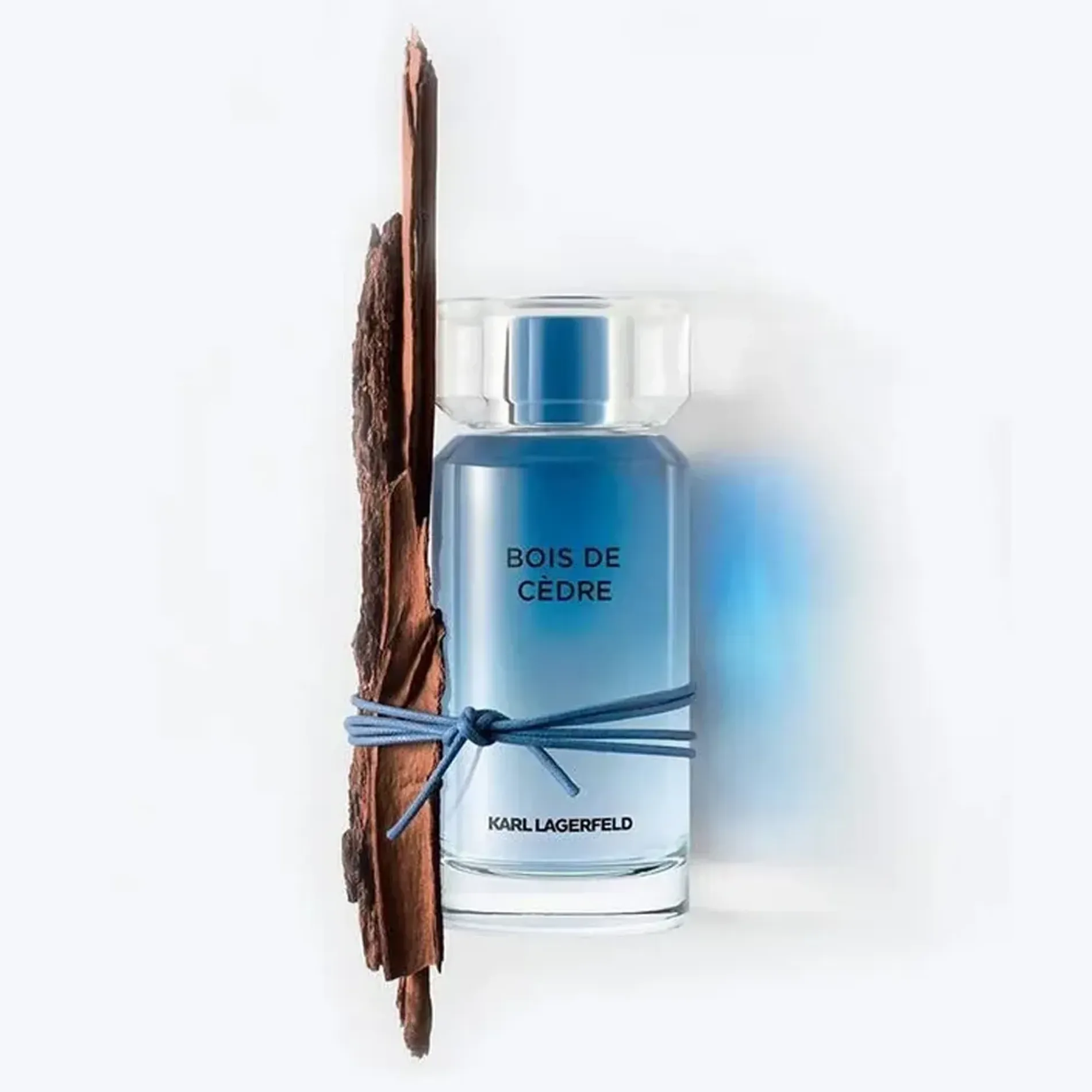 nuoc-hoa-nam-karl-lagerfeld-bois-de-cedre-2