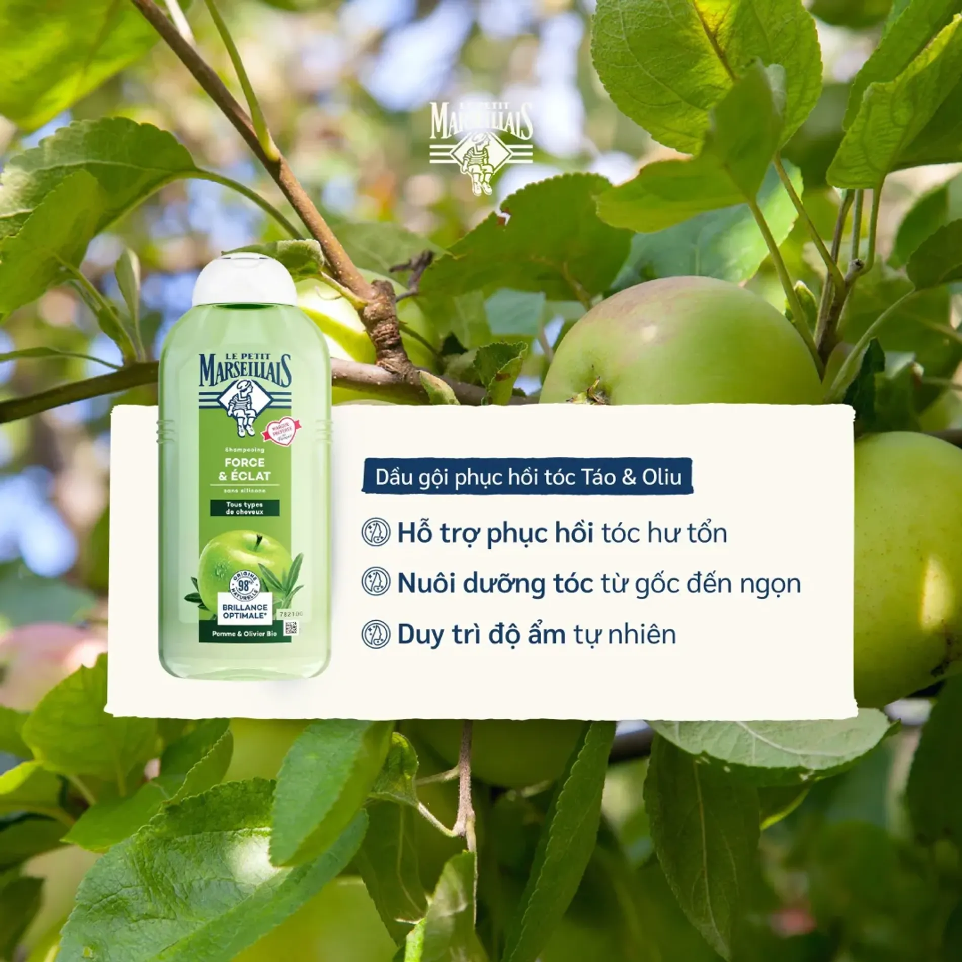 dau-goi-tao-oliu-le-petit-marseillais-300ml-3