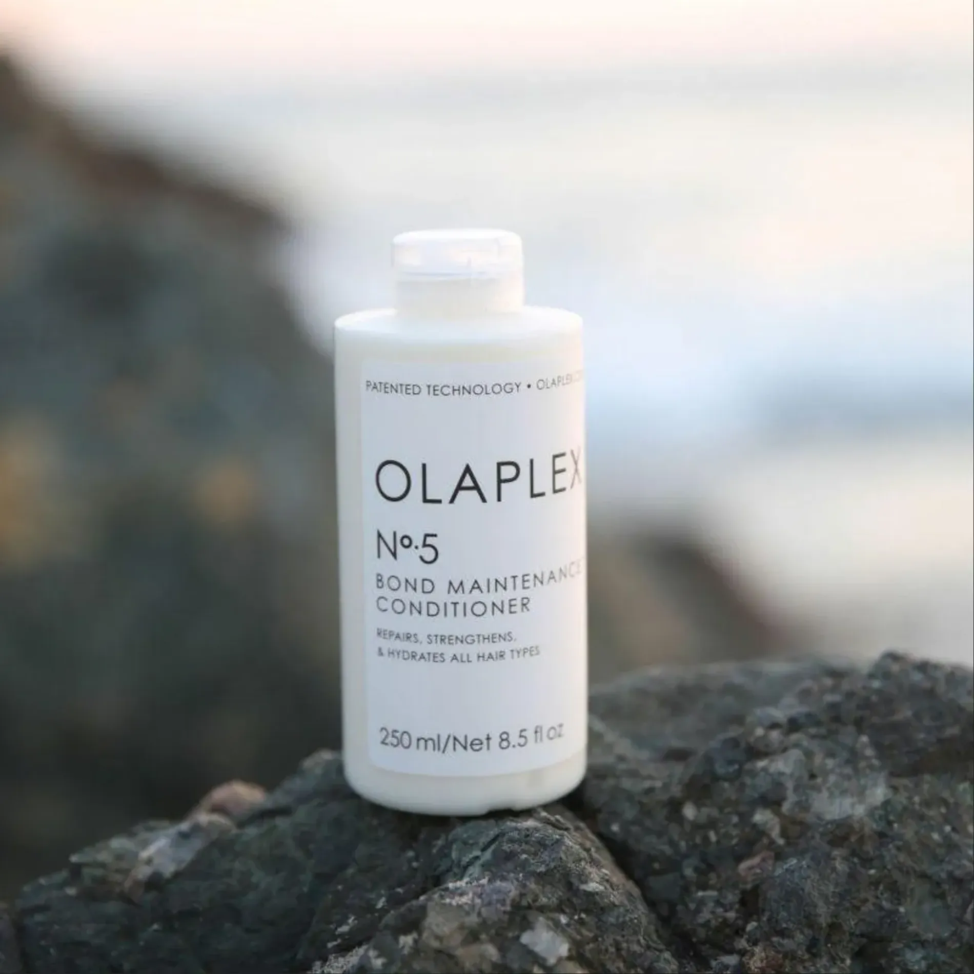 dau-xa-phuc-hoi-toc-no5-olaplex-7