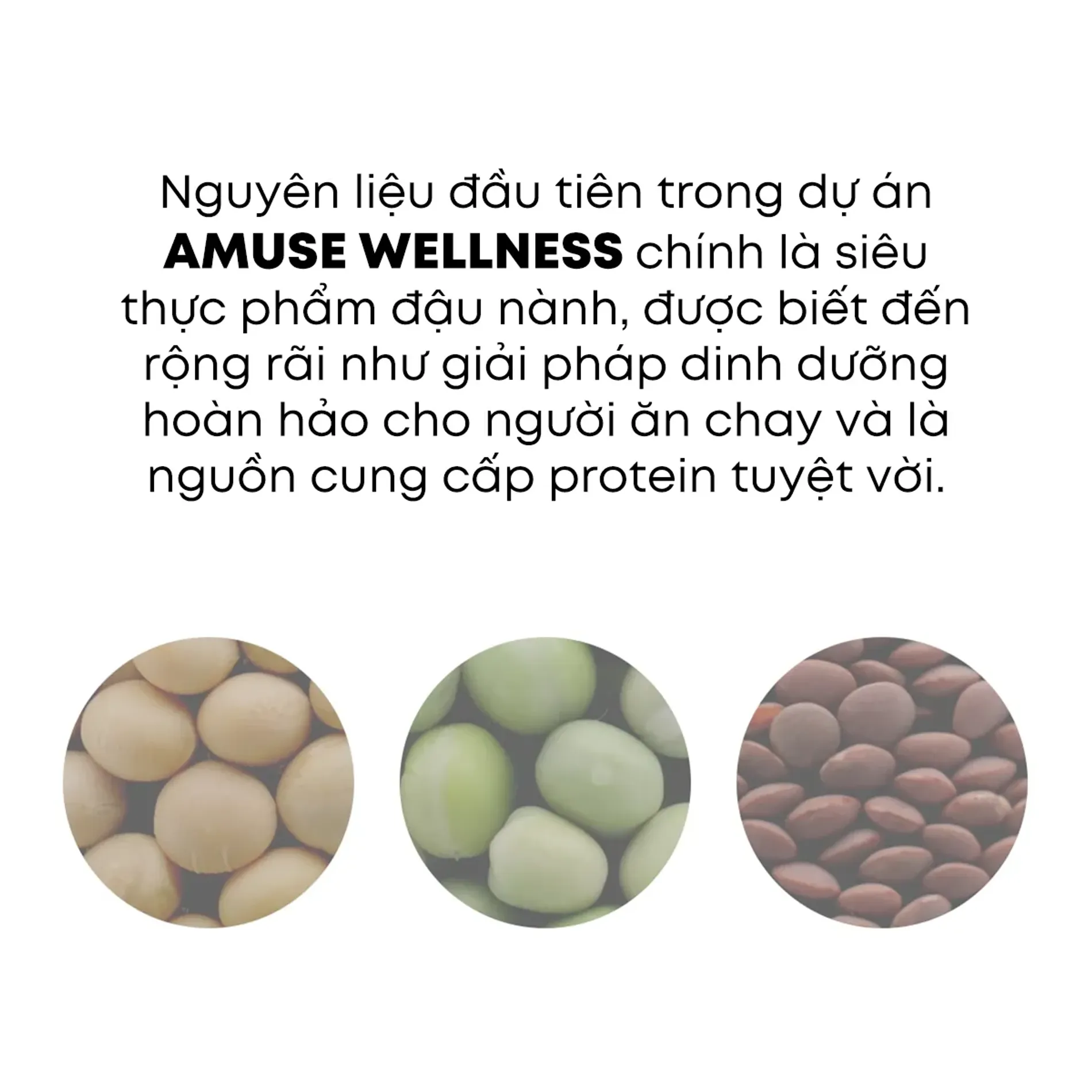 kem-duong-tay-thuan-chay-amuse-vegan-soybean-hand-cream-50ml-3