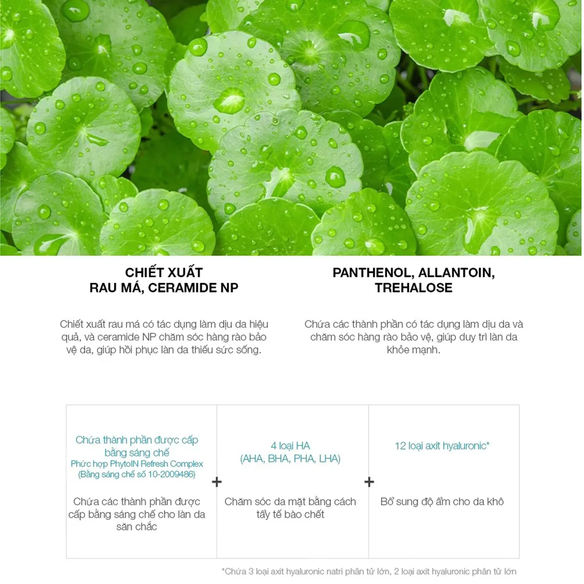 tay-trang-bot-jmsolution-centella-cleanser-6