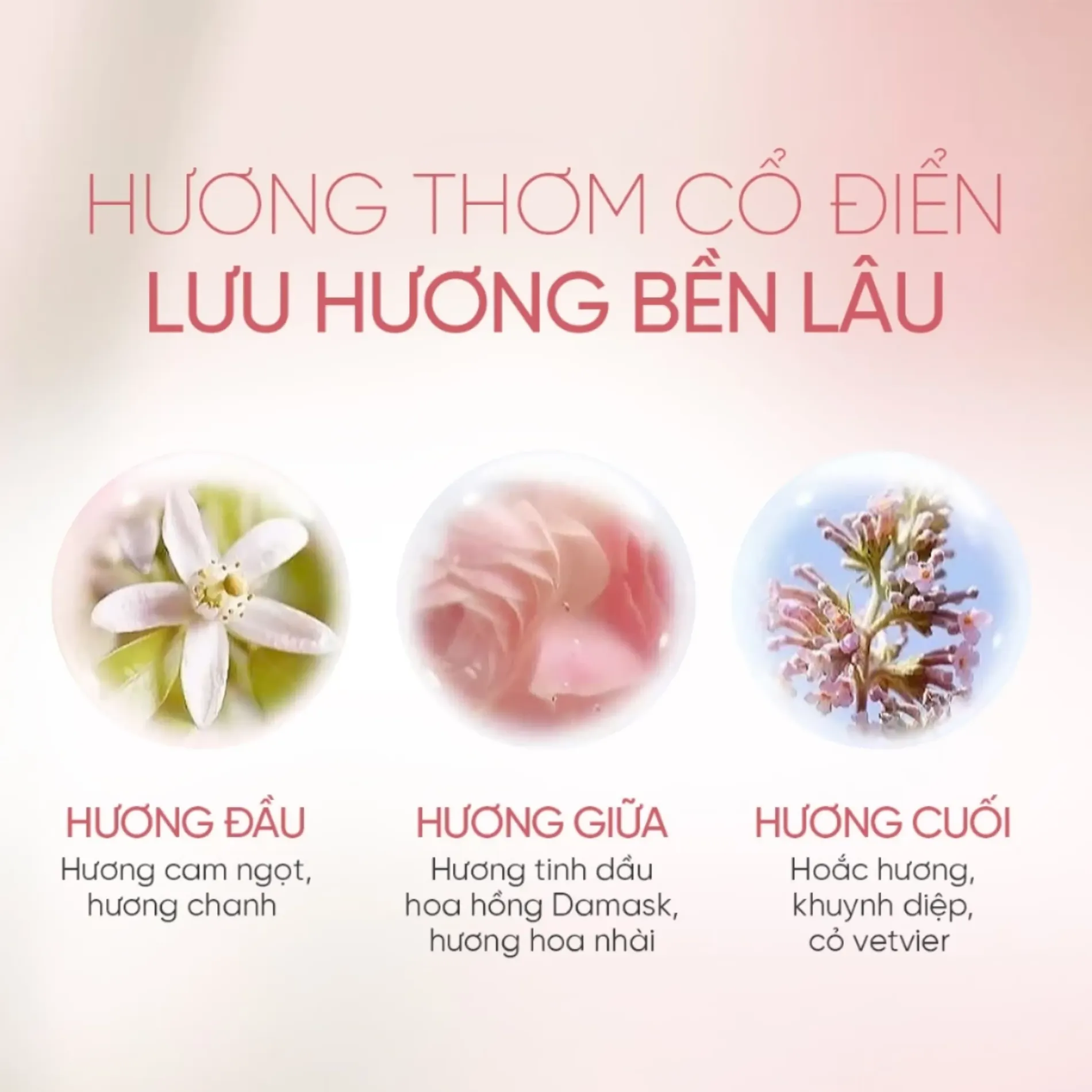 tinh-dau-duong-toc-suon-muot-huong-nuoc-hoa-adolph-essential-oil-scented-hair-oil-30ml-4