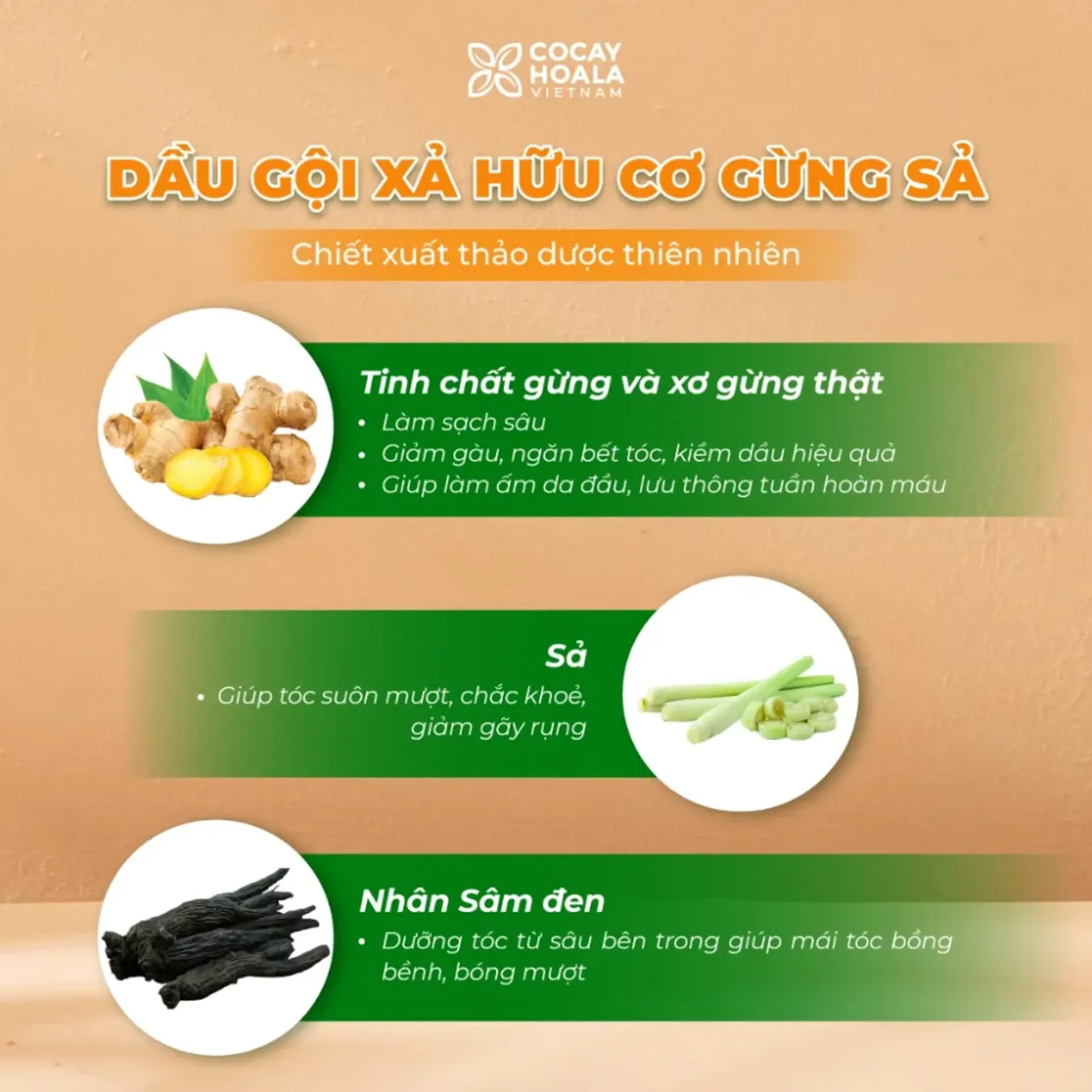 bo-goi-xa-huu-co-gung-sa-cocayhoala-ginger-lemongrass-4