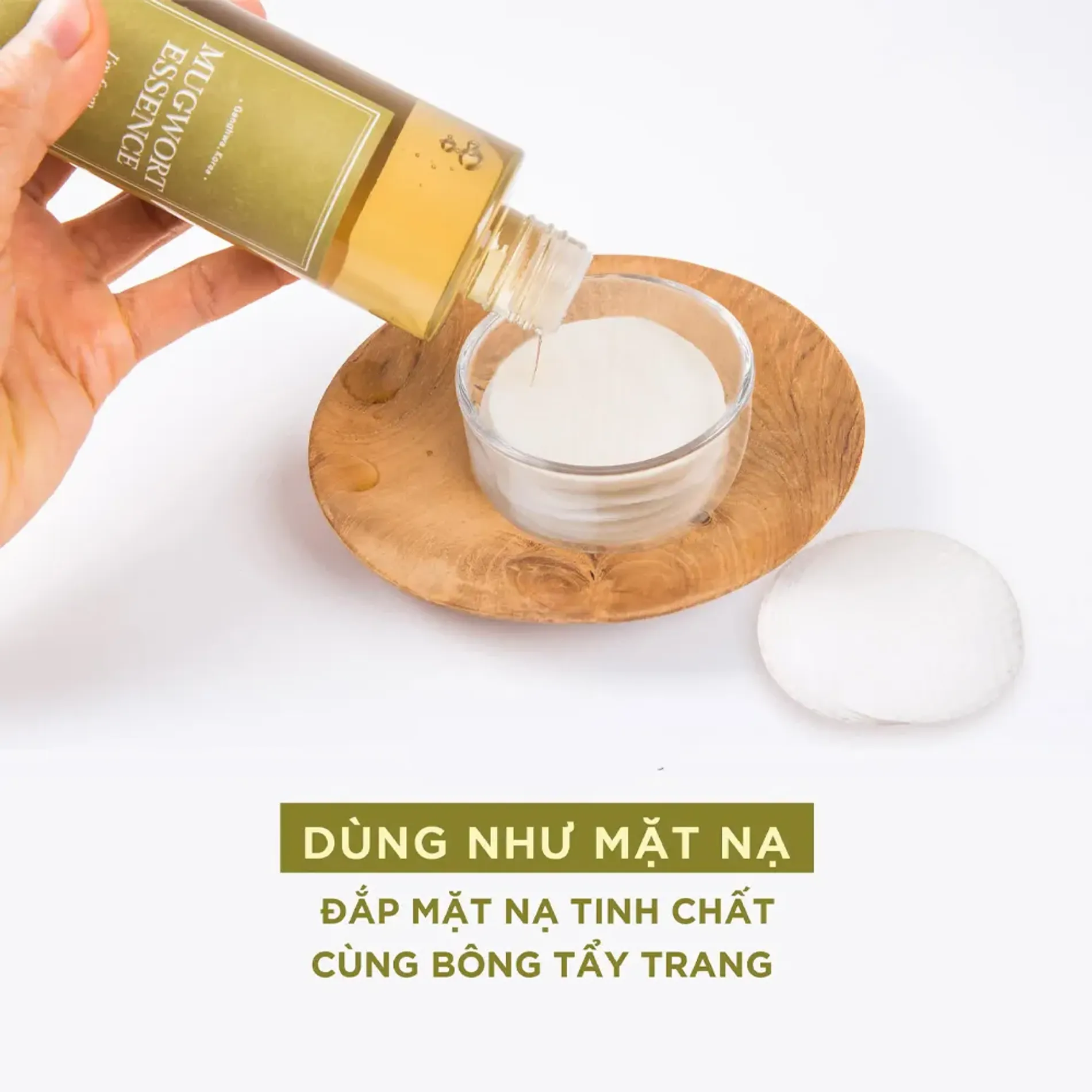 tinh-chat-ngai-cuu-im-from-mugwort-4
