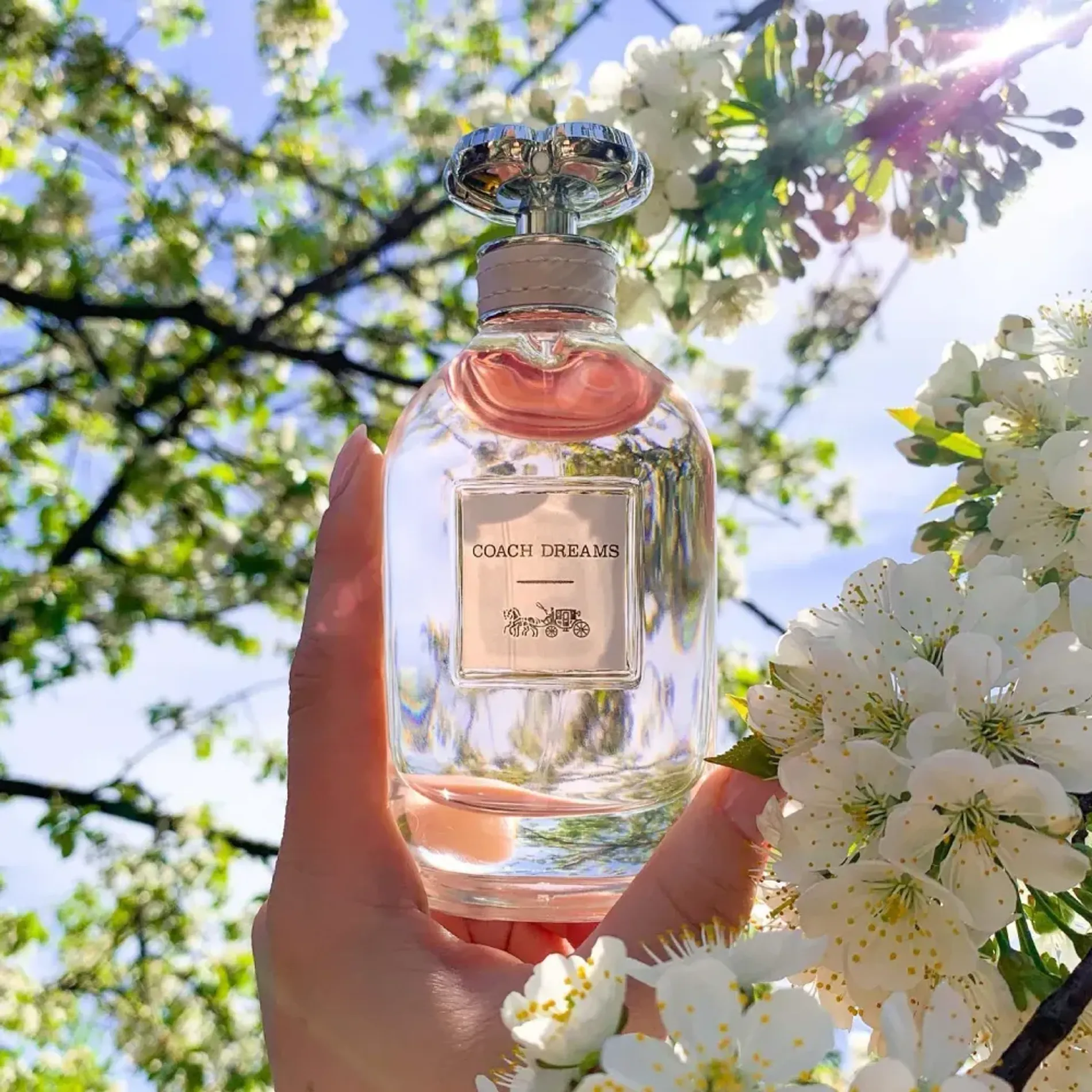 nuoc-hoa-nu-coach-dreams-edp-3