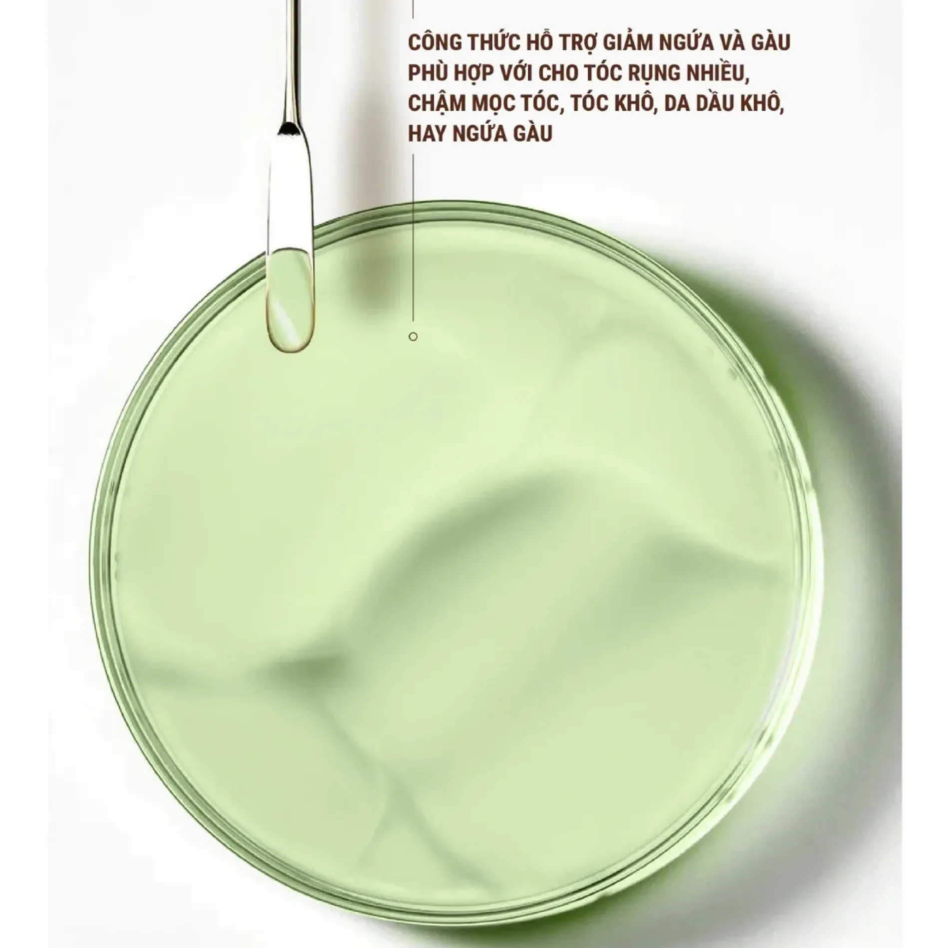 dau-goi-gung-weilaiya-ginger-shampoo-for-hair-growth-scalp-anti-aging-420ml-6