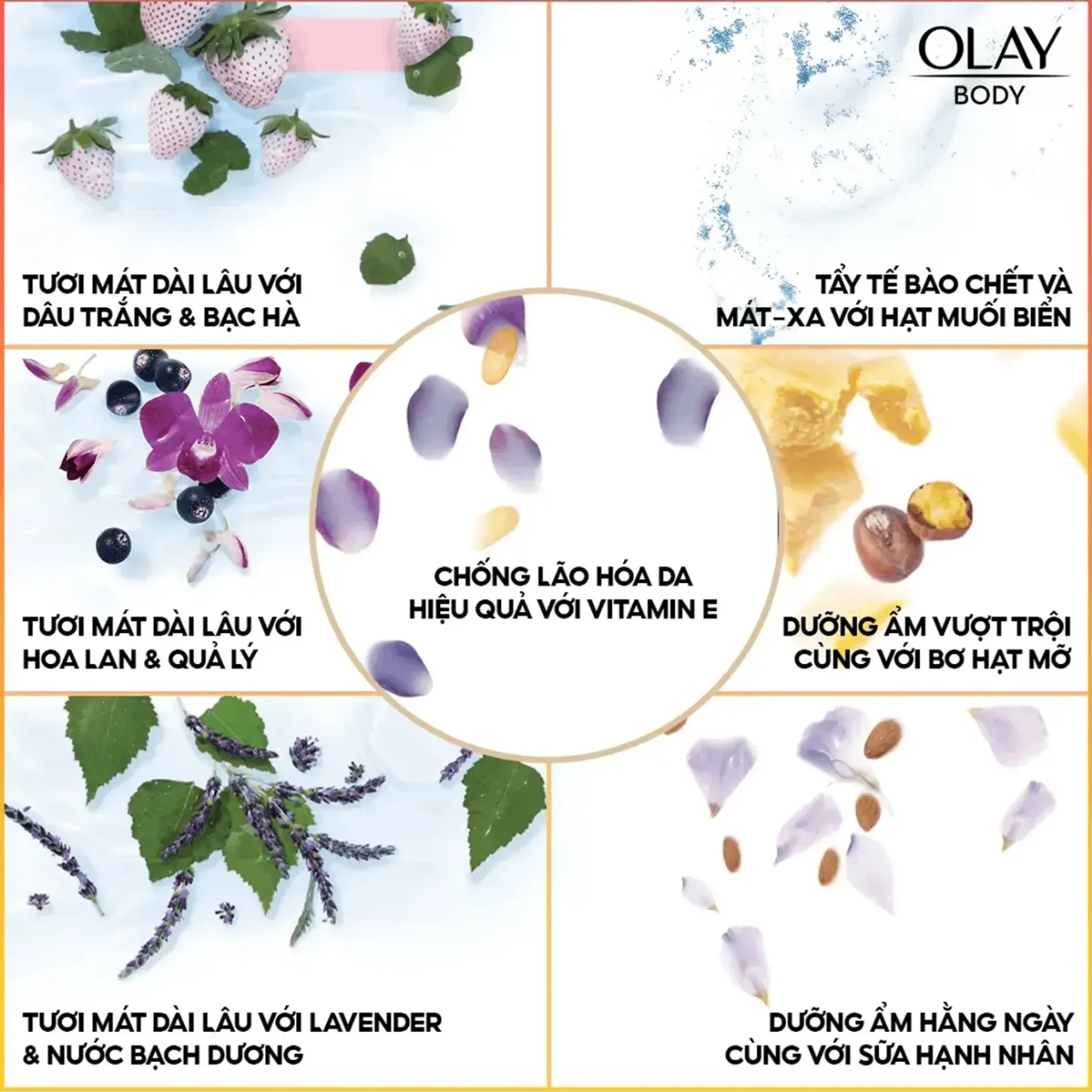 sua-tam-duong-da-olay-body-wash-purifying-birch-water-lavender-650ml-3