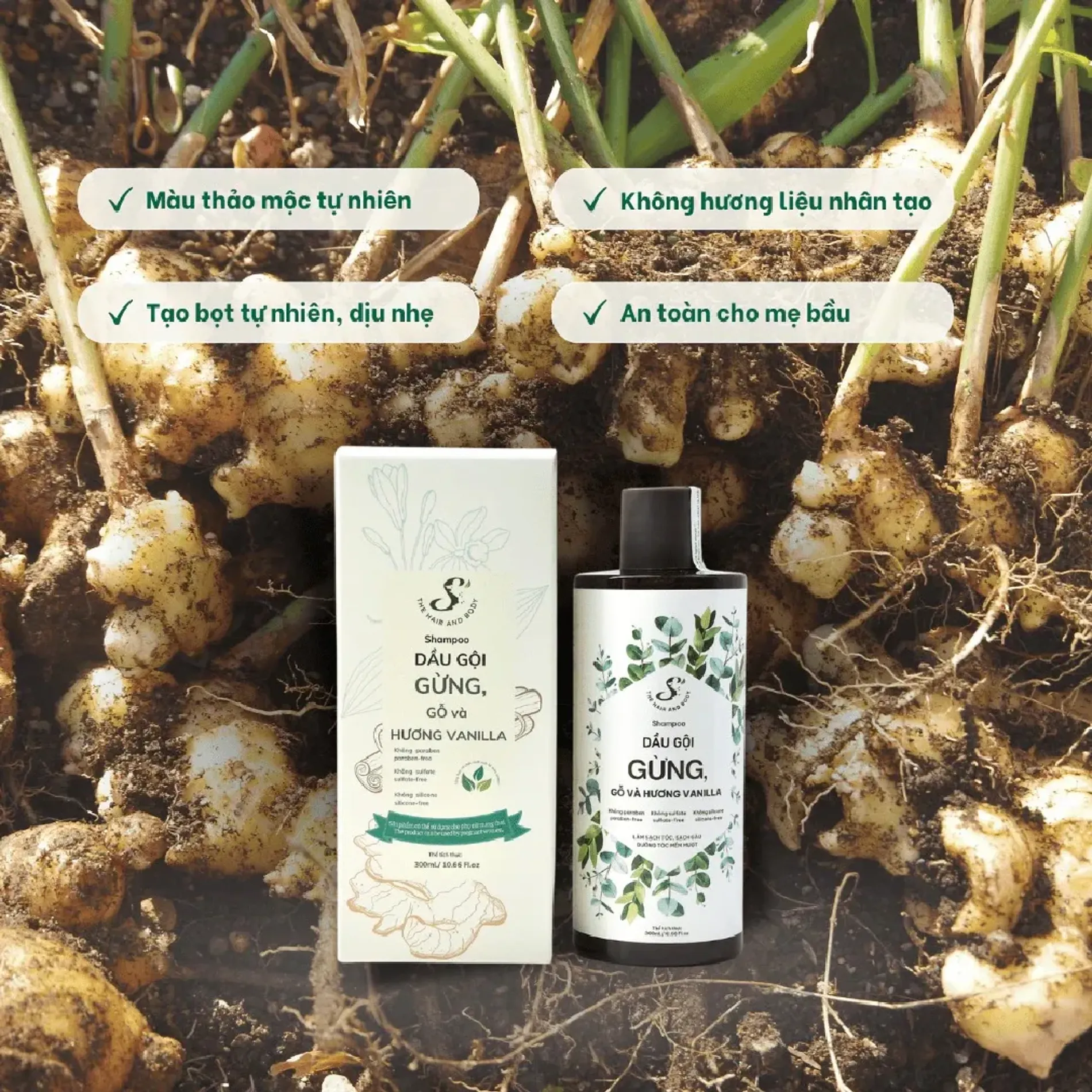 dau-goi-gung-s-the-hair-and-body-ginger-300ml-3