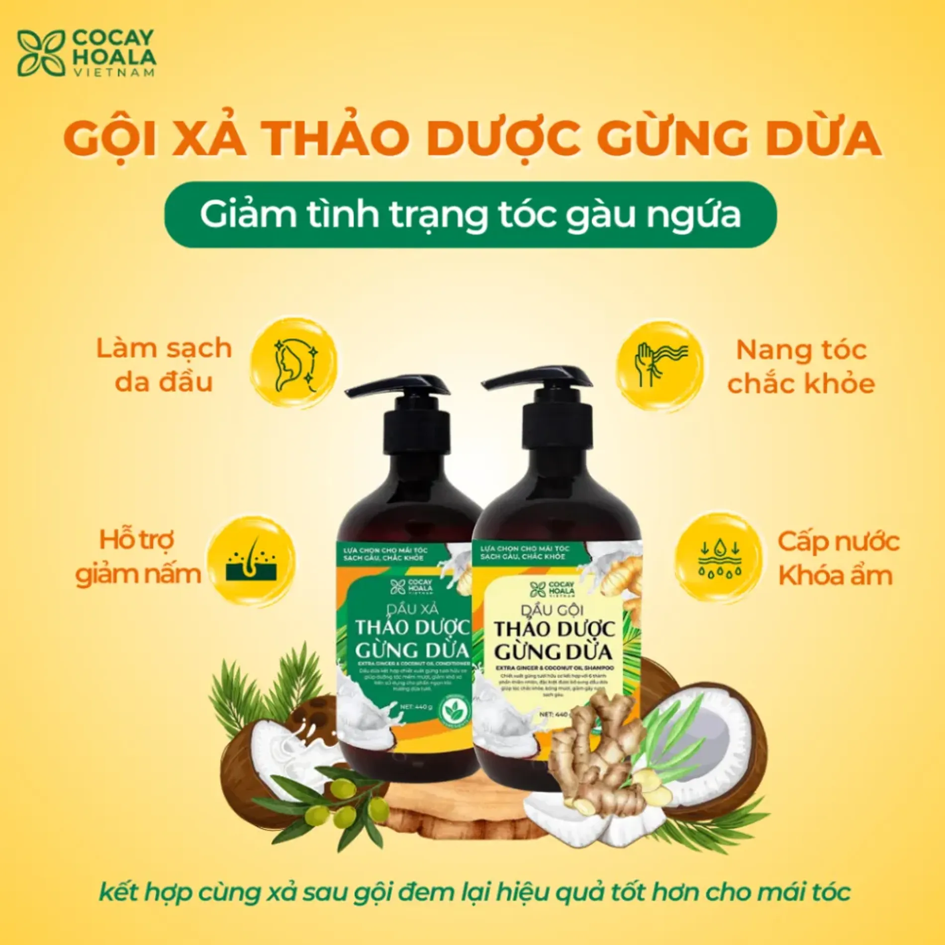 bo-dau-goi-xa-cocayhoala-ginger-shampoo-conditioner-440gx2-3