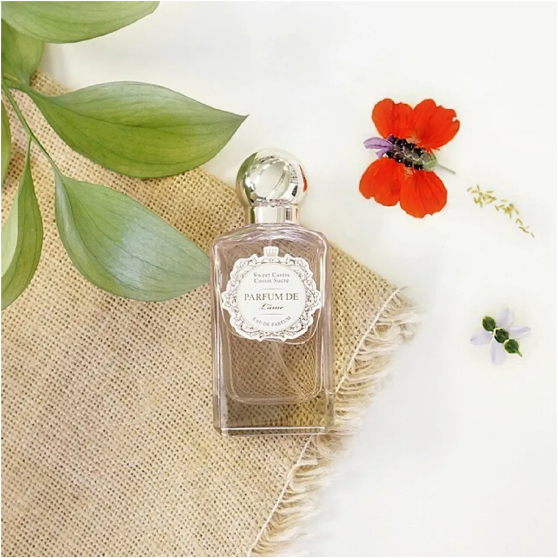 nuoc-hoa-nu-the-face-shop-parfum-de-lame-sweet-cassis-80ml-3