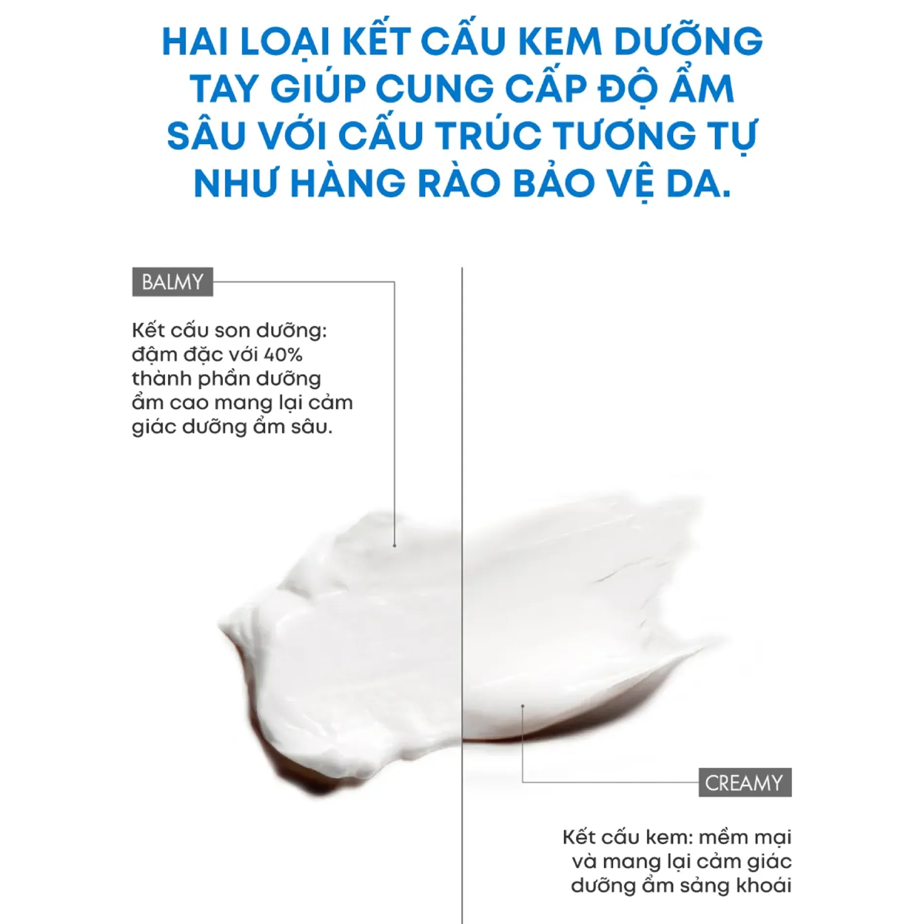 kem-duong-tay-thuan-chay-amuse-vegan-soybean-hand-cream-50ml-4