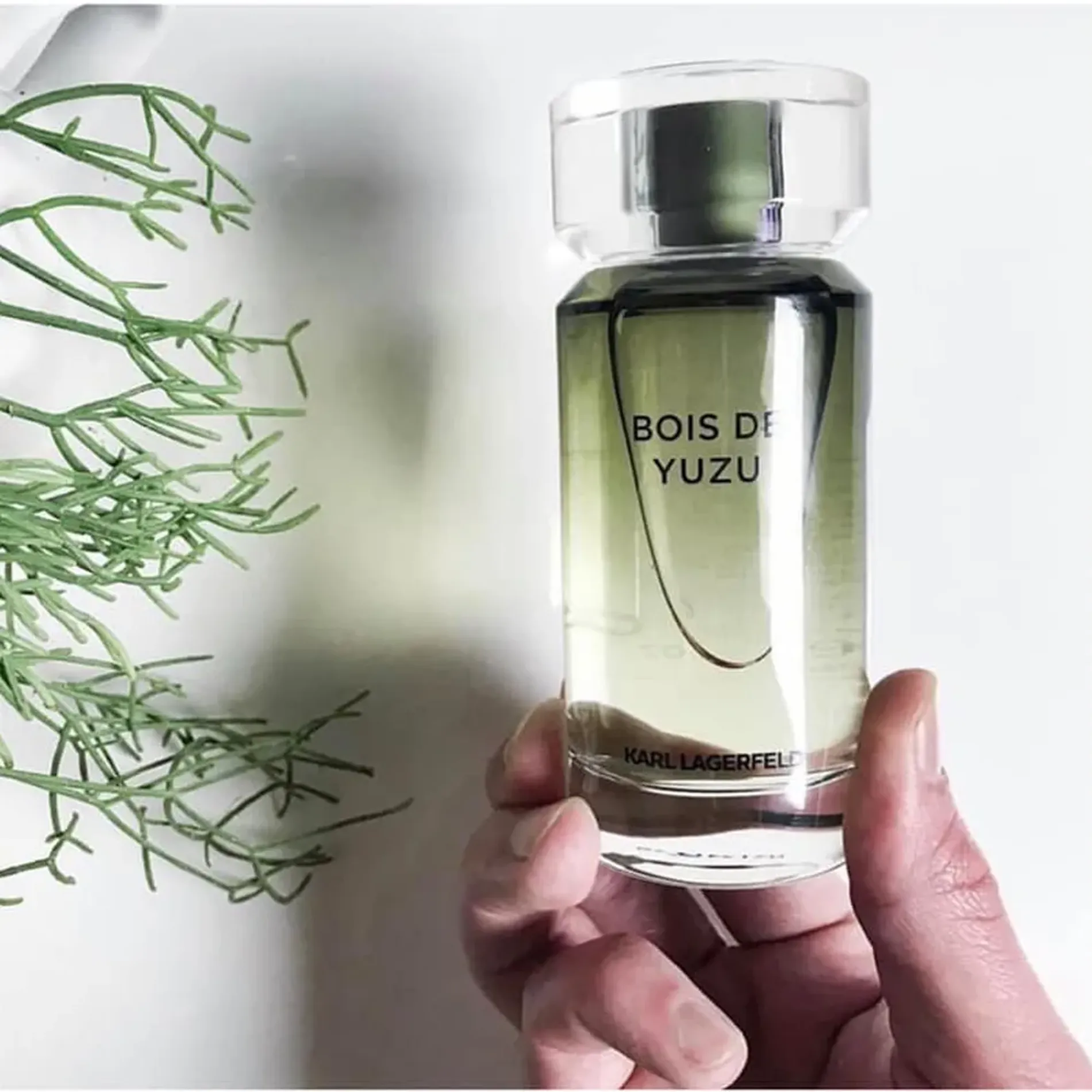 nuoc-hoa-nam-karl-lagerfeld-bois-de-yuzu-3