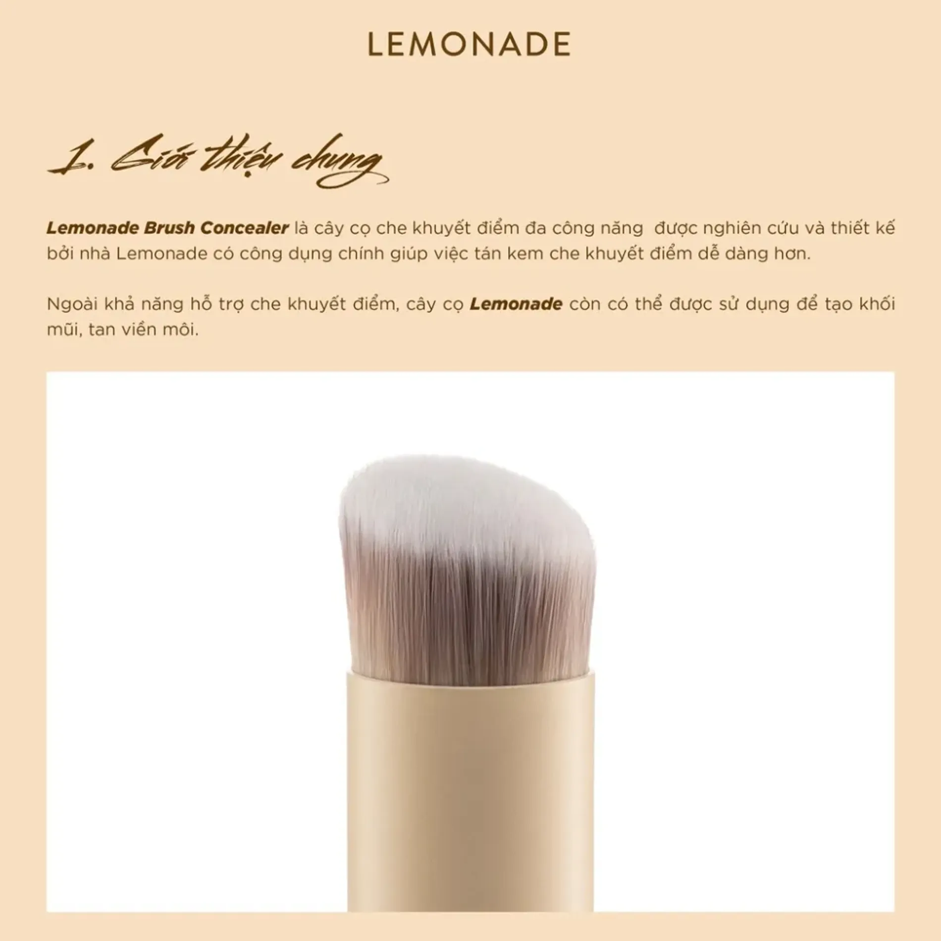 co-che-khuyet-diem-lemonade-concealer-brush-10g-4