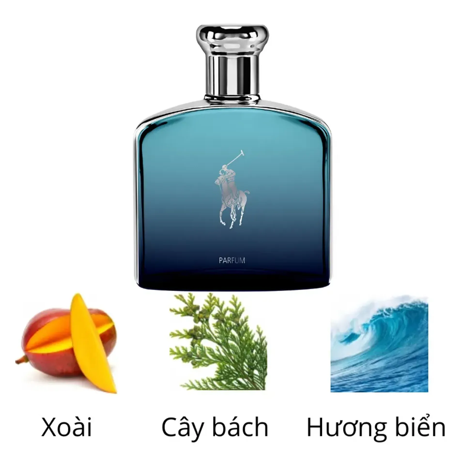 nuoc-hoa-nam-ralph-lauren-polo-deep-blue-2