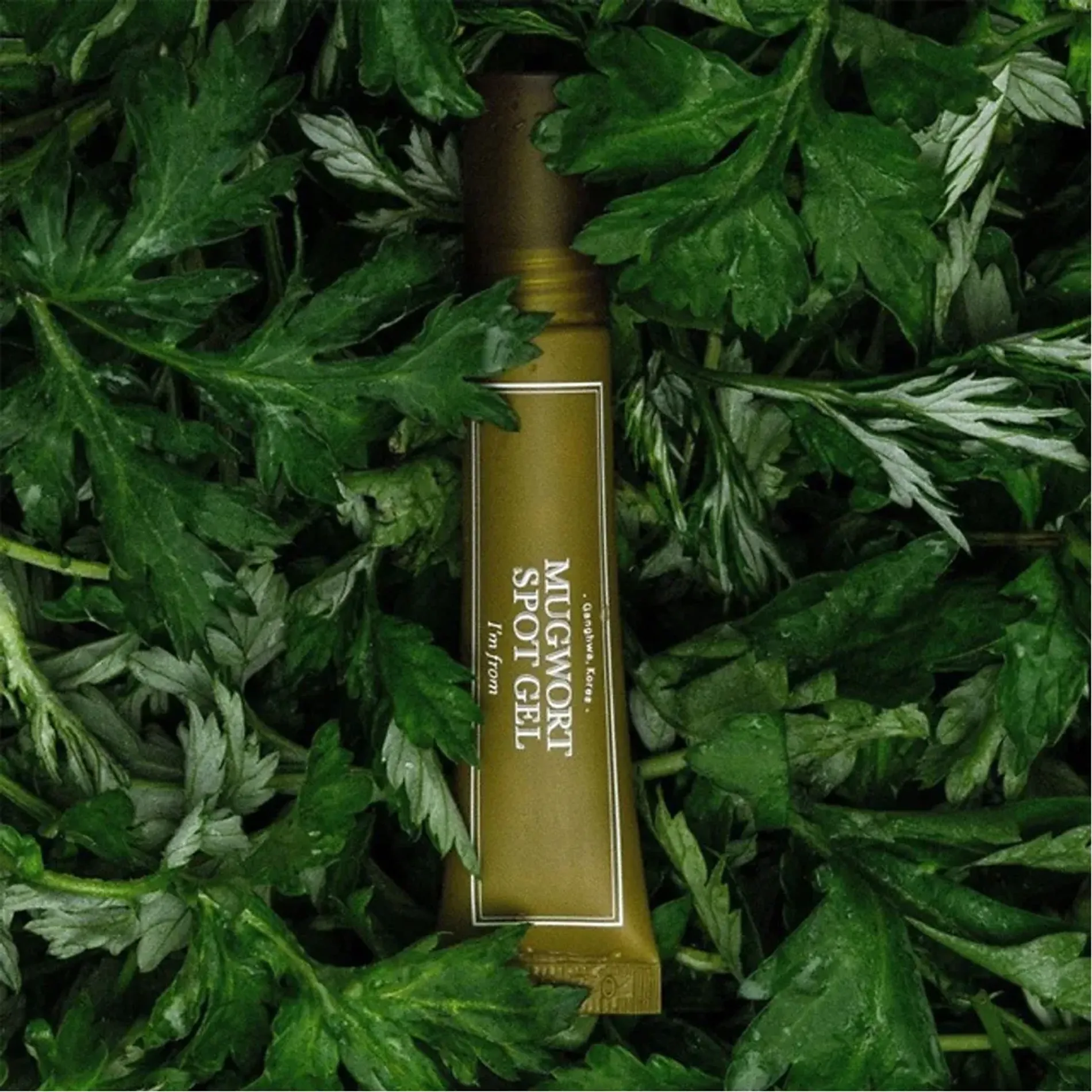 kem-cham-mun-im-from-mugwort-3