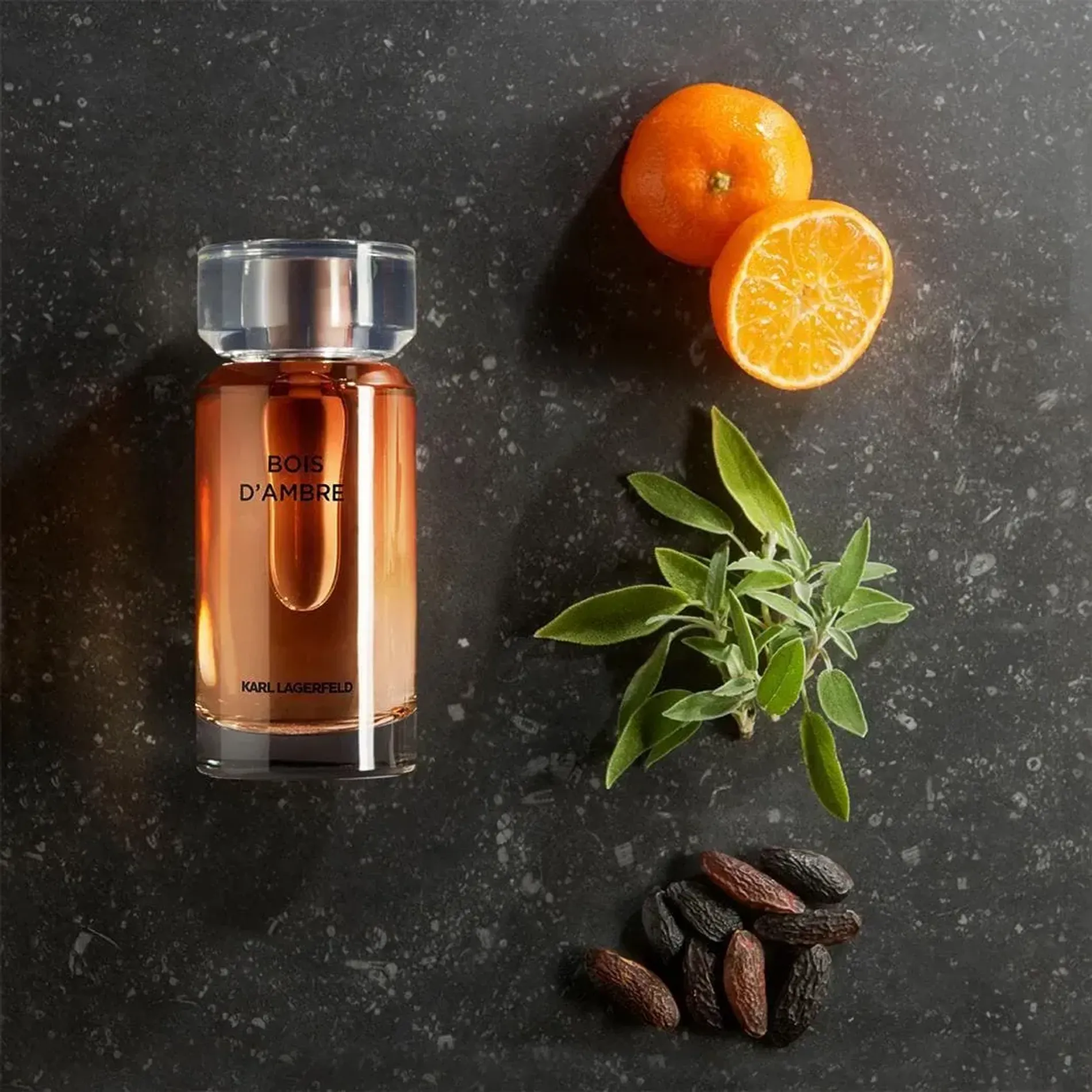 nuoc-hoa-karl-lagerfeld-bois-ambre-2