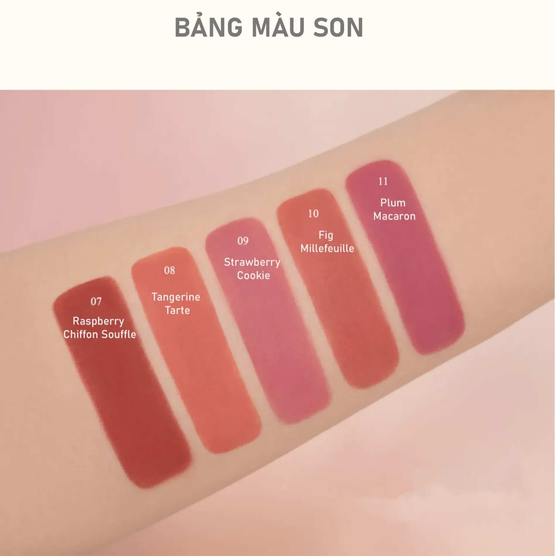 son-thoi-hieu-ung-mo-clio-chiffon-mood-lip-32g-5