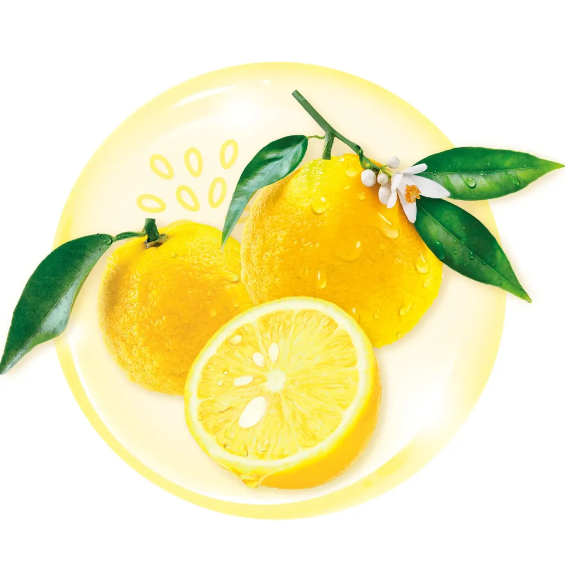 sua-rua-mat-sang-da-mo-tham-senka-perfect-whip-vitc-poreless-glow-100g-5