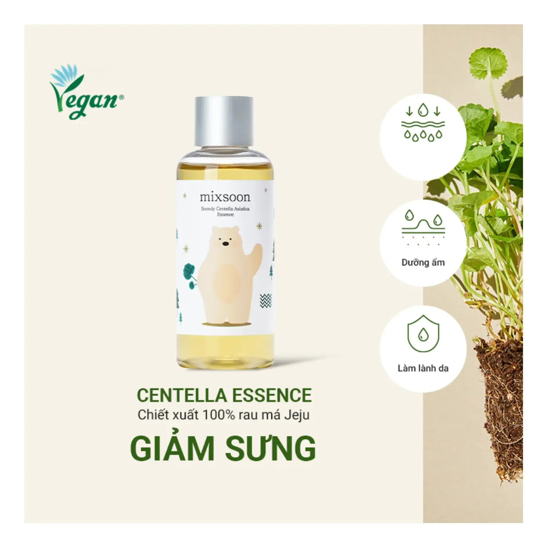 tinh-chat-rau-ma-mixsoon-cap-am-lam-diu-da-soondy-centella-asiatica-essence-100ml-6
