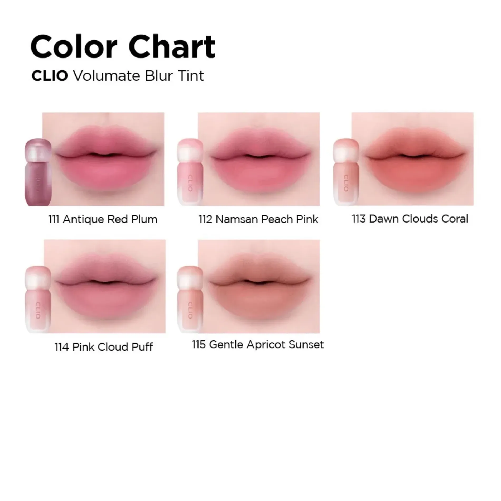 son-kem-hieu-ung-mo-li-clio-volumate-blur-tint-38g-11