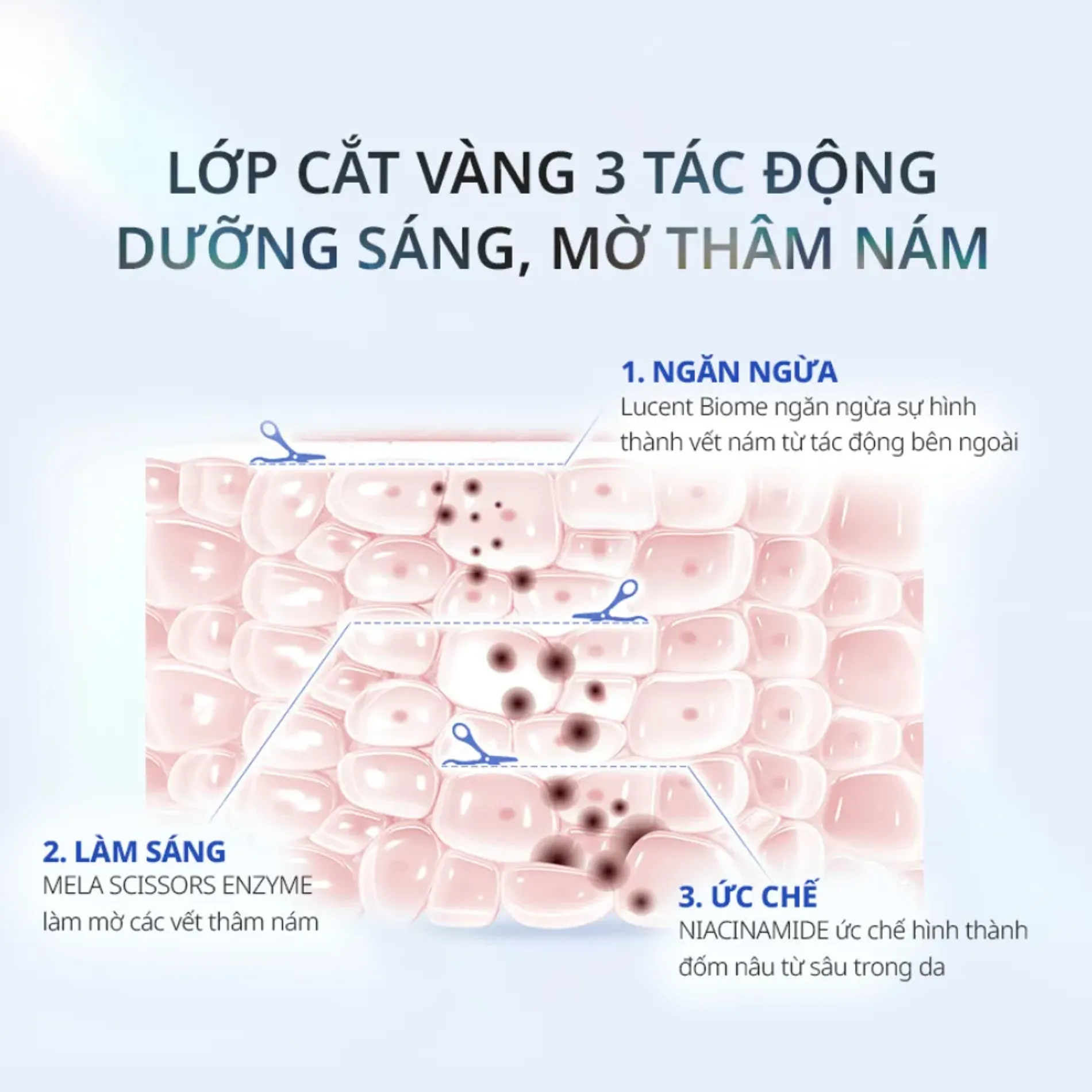 combo-ahc-duong-sang-tre-hoa-da-3