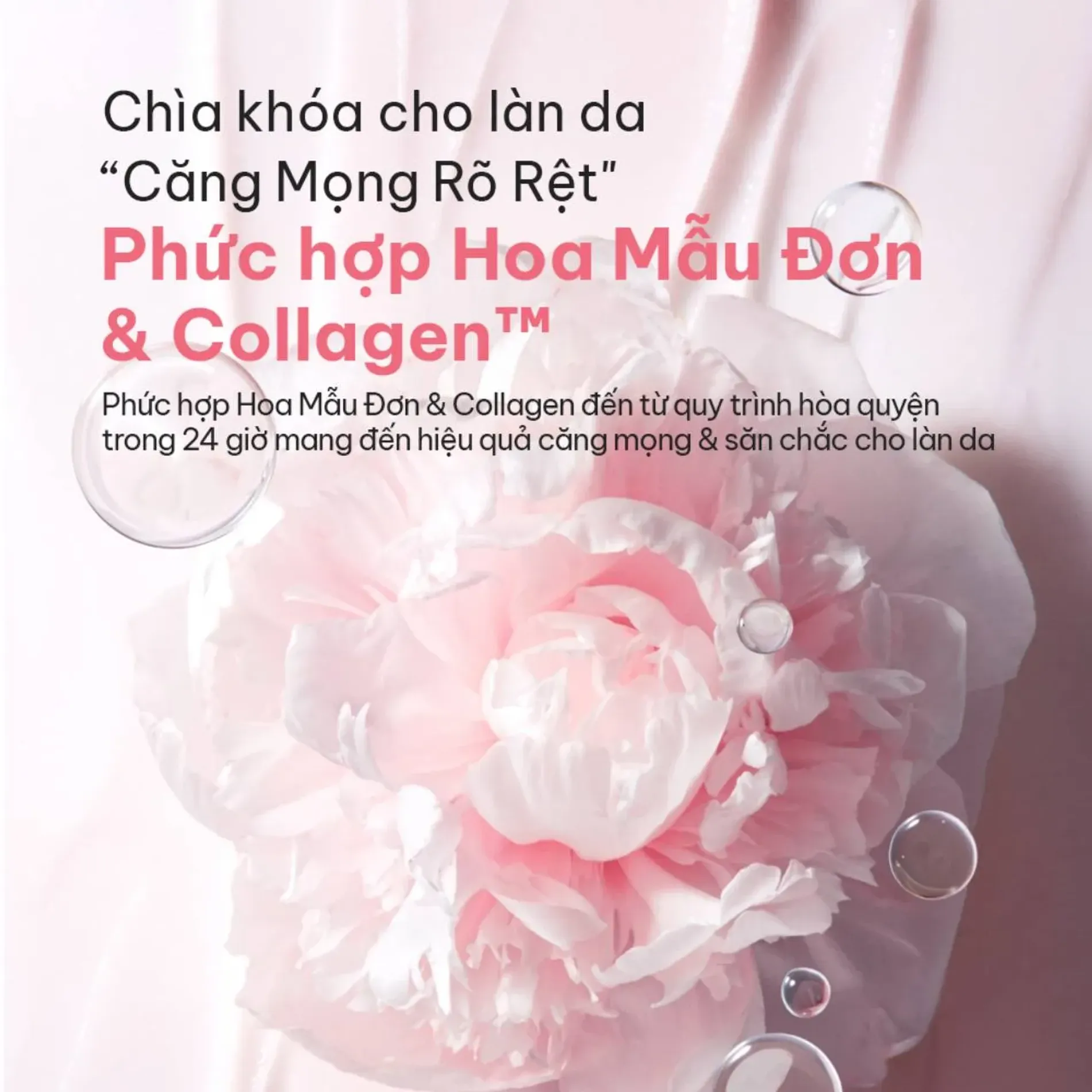 phien-ban-cai-tien-2024-mat-na-ngu-laneige-cang-min-da-bouncy-firm-sleeping-mask-60ml-3