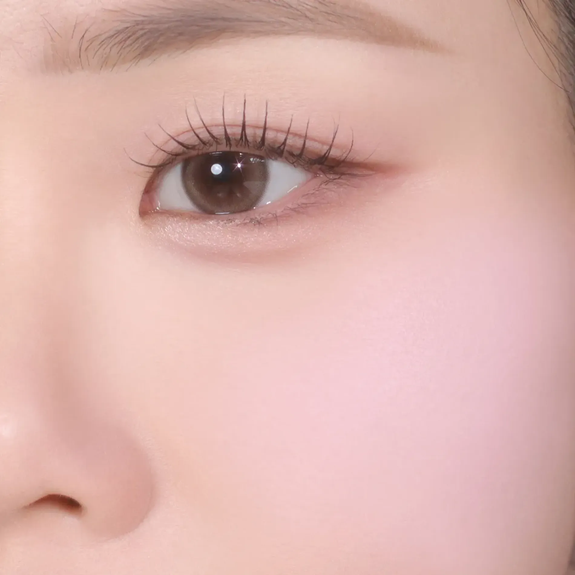 ma-hong-peripera-2-mau-pure-blushed-custom-cheek-42g-6