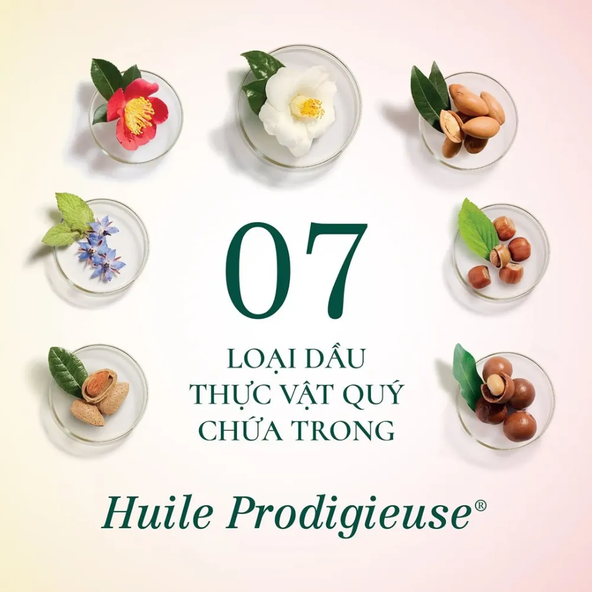 dau-duong-kho-co-nhu-nuxe-huile-prodigieuse-or-multi-purpose-dry-oil-100ml-6