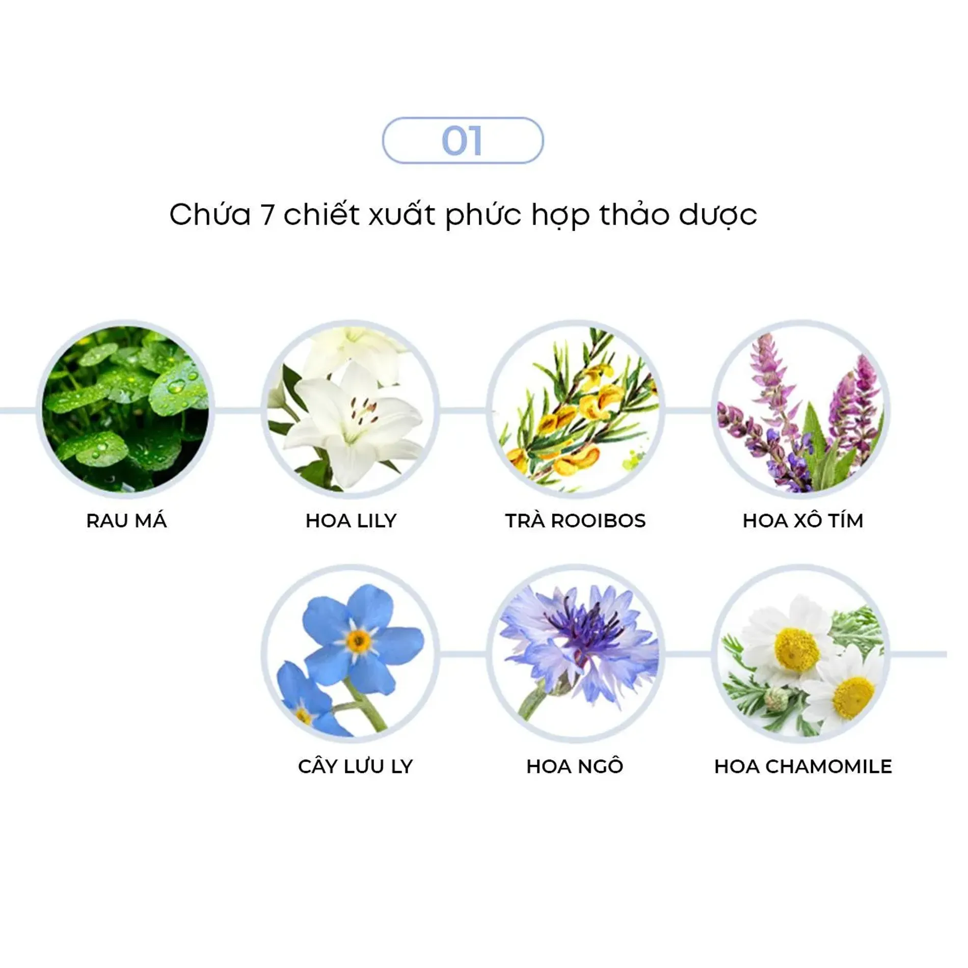 sua-rua-mat-the-face-shop-lam-min-da-herb-day-365-amino-acid-facial-foaming-cleanser-aloe-170ml-8