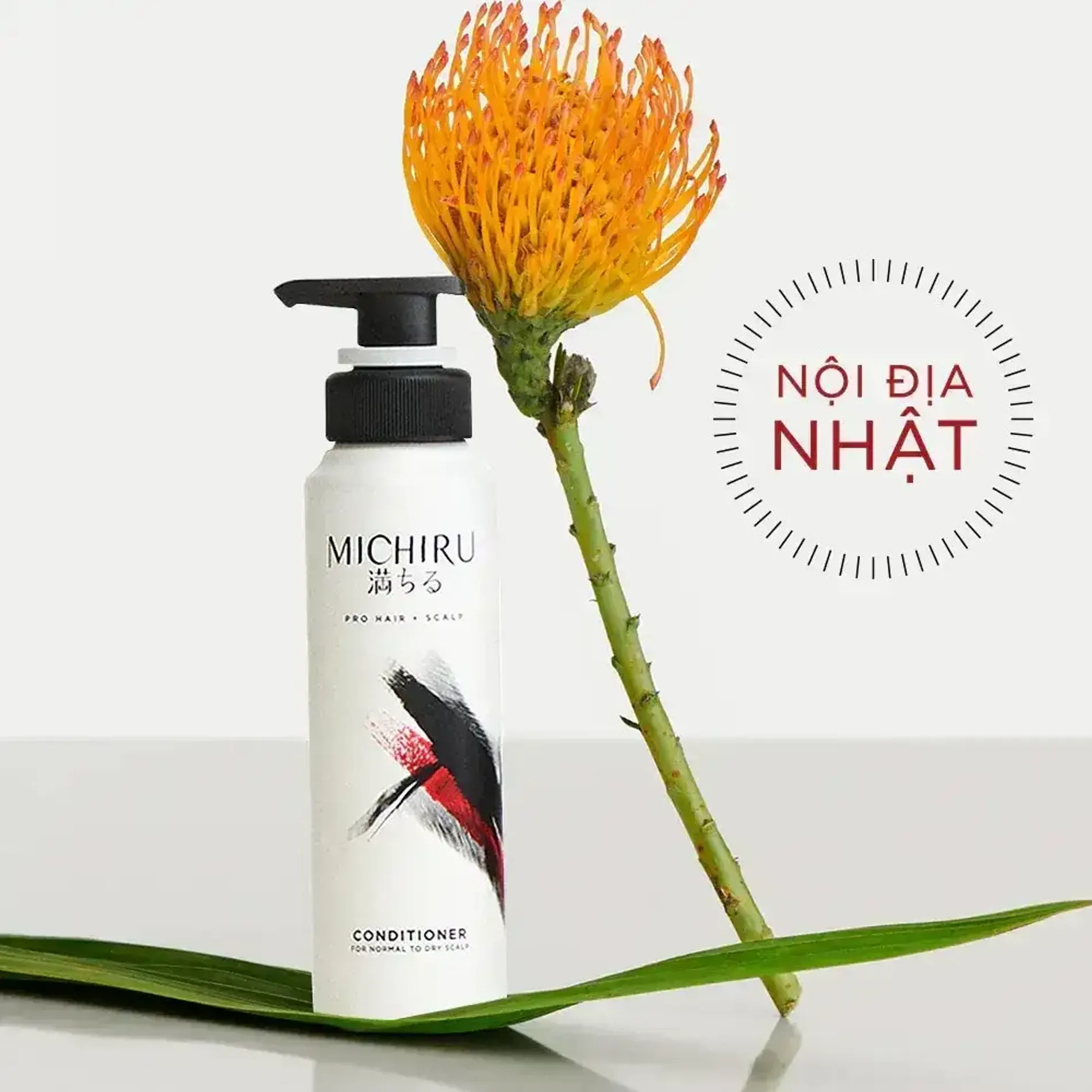 dau-goi-ngan-rung-toc-cho-da-dau-thuong-den-kho-michiru-conditioner-for-normal-to-dry-scalp-180g-3