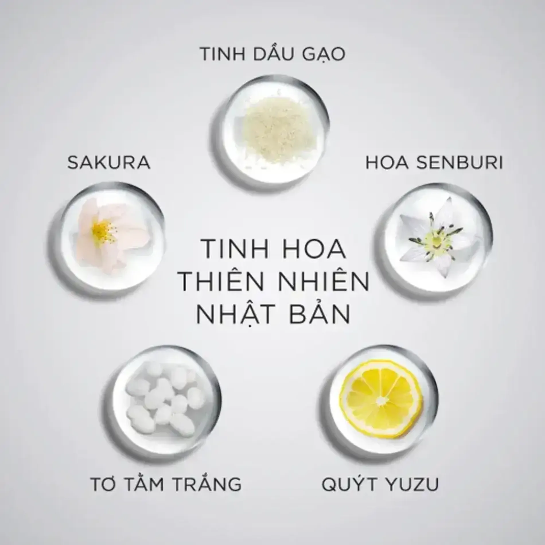 dau-goi-ngan-rung-toc-cho-da-dau-thuong-den-kho-michiru-conditioner-for-normal-to-dry-scalp-180g-4
