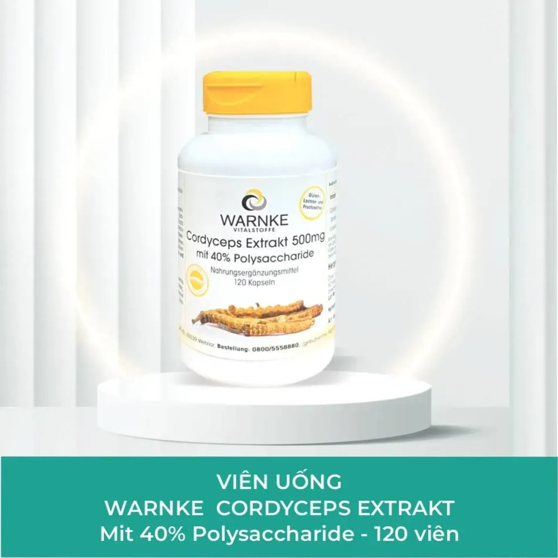 vien-uong-dong-trung-ha-thao-warnke-cordyceps-extrakt-500mg-120vien-2