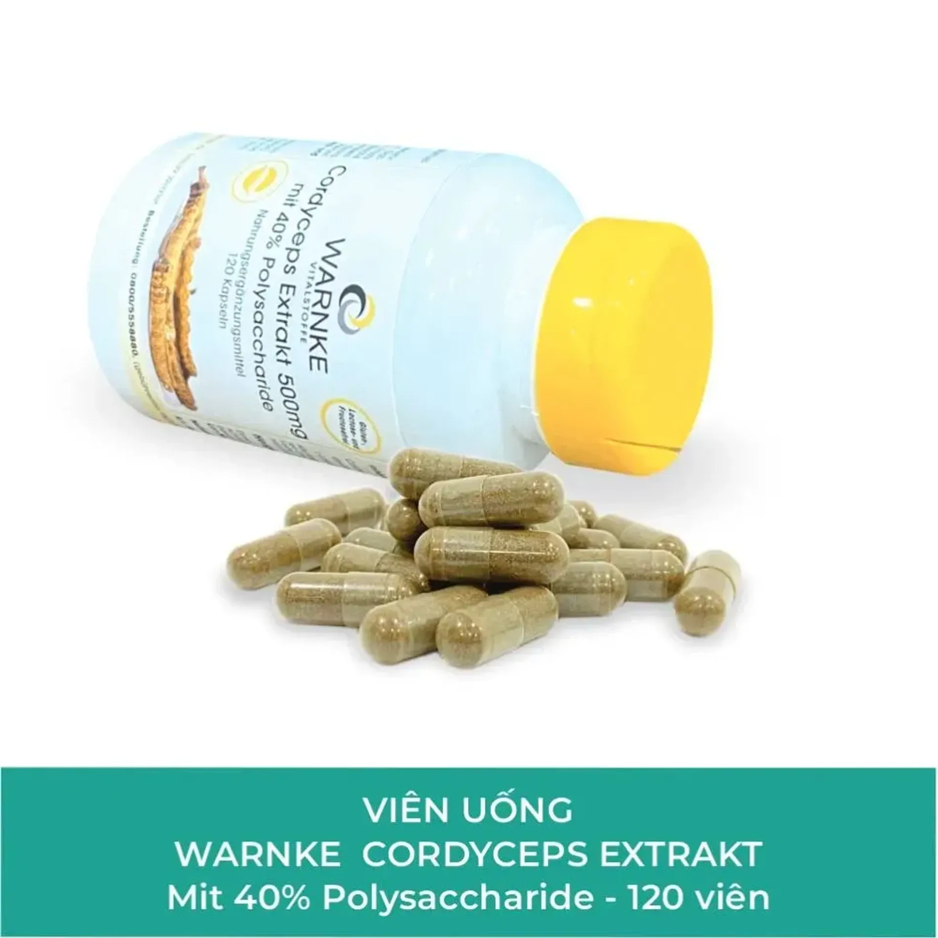vien-uong-dong-trung-ha-thao-warnke-cordyceps-extrakt-500mg-120vien-4