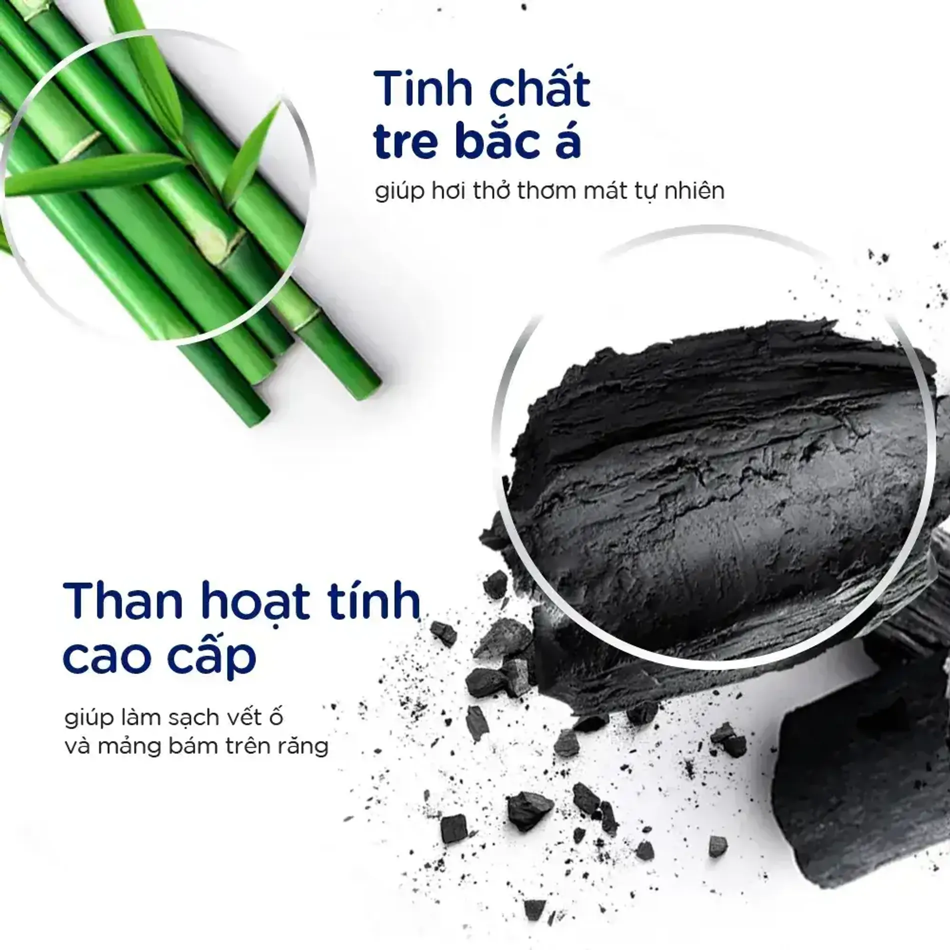 kem-danh-rang-than-hoat-tinh-tre-p-s-essentialcharcoal-bamboo-2