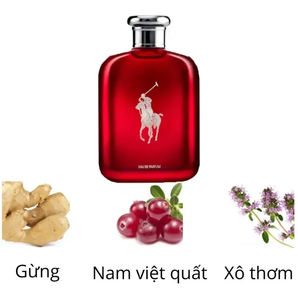 N C Hoa Nam Ralph Lauren Polo Red Edp Spray Vaporisteur Ml