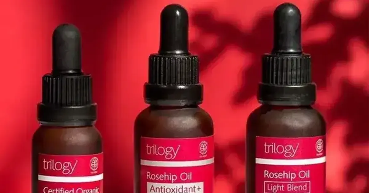 Quá trình chiết xuất Rosehip oil như thế nào?
