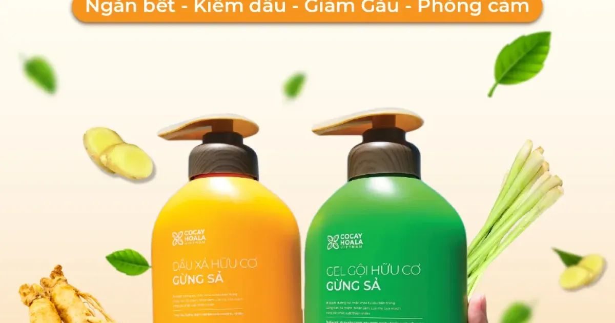 Bộ Gội- Xả Hữu Cơ Gừng Sả Cocayhoala Ginger Lemongrass Organic Shampoo & Conditioner 500gx2