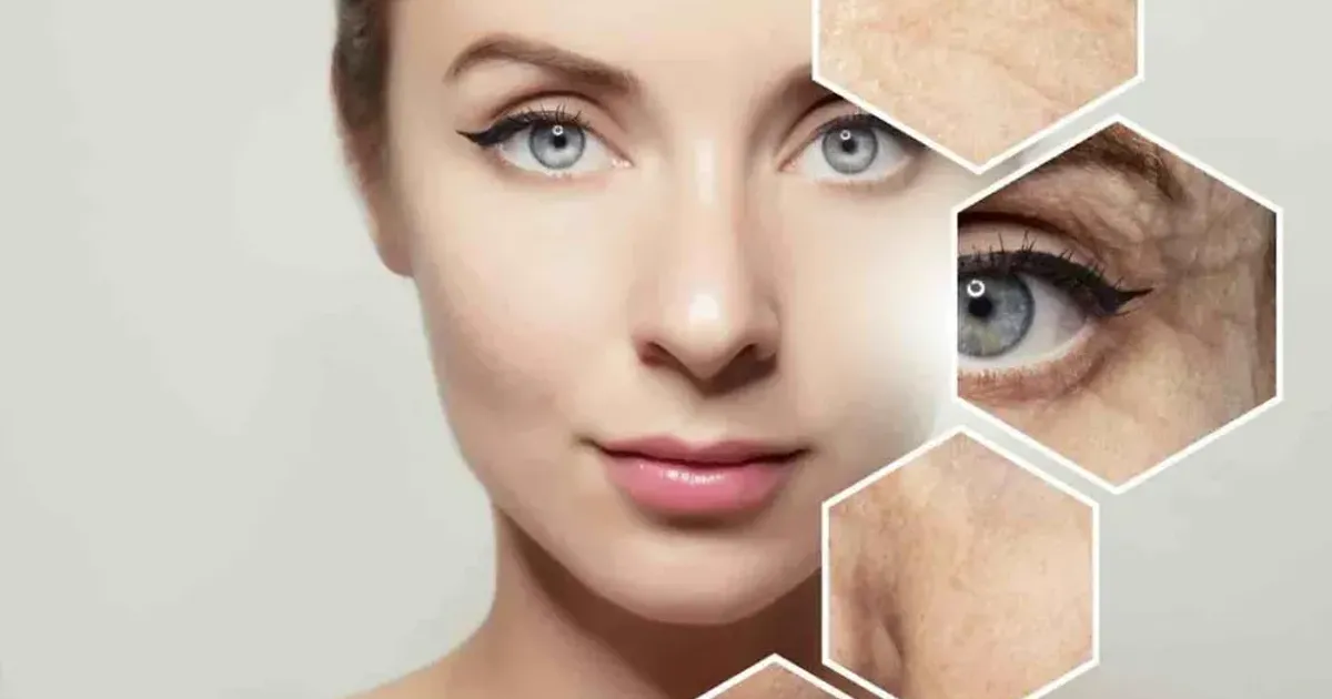 Top 7 thành phần ngăn ngừa lão hóa từ thiên nhiên hiệu quả - The Face Shop Chính Hãng