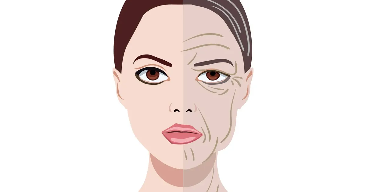 13 cách chống lão hóa da mặt hiệu quả và an toàn - The Face Shop Chính Hãng
