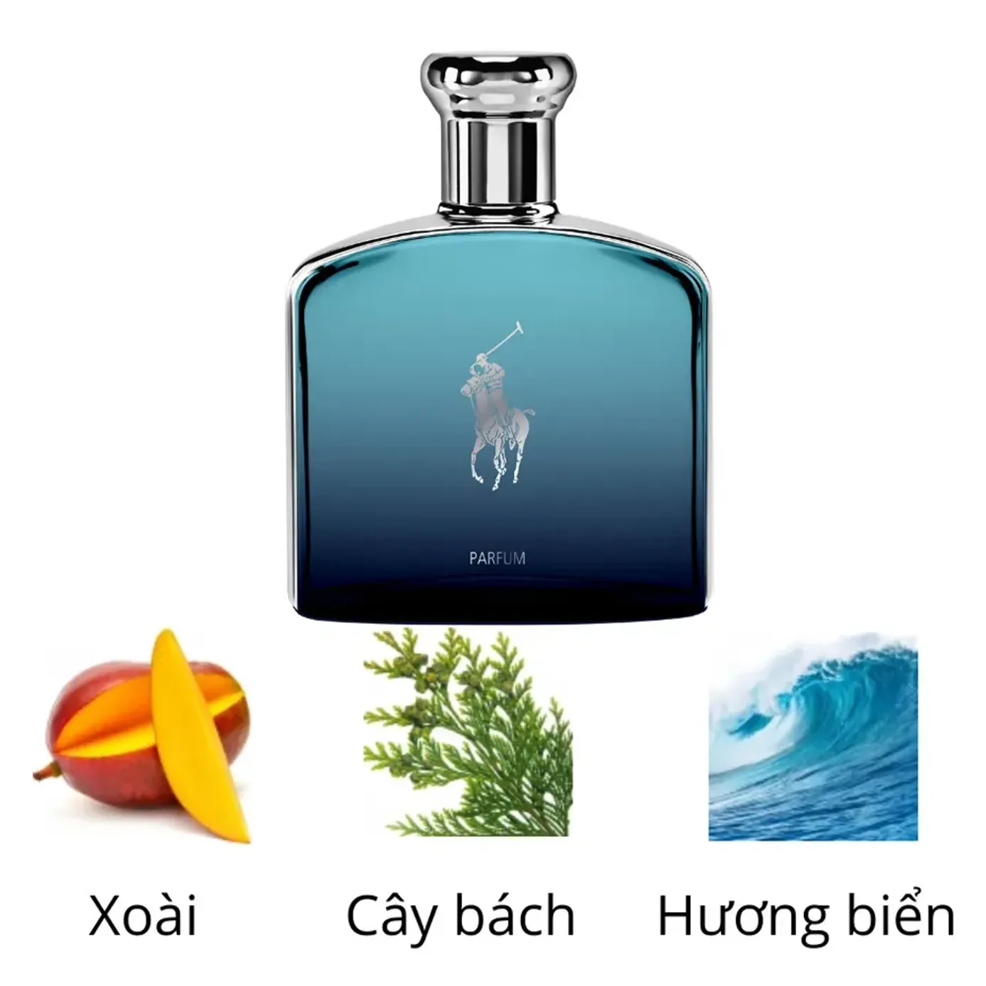 Nước Hoa Nam Ralph Lauren Polo Deep Blue Parfum Spray Vaporisateur 125ml