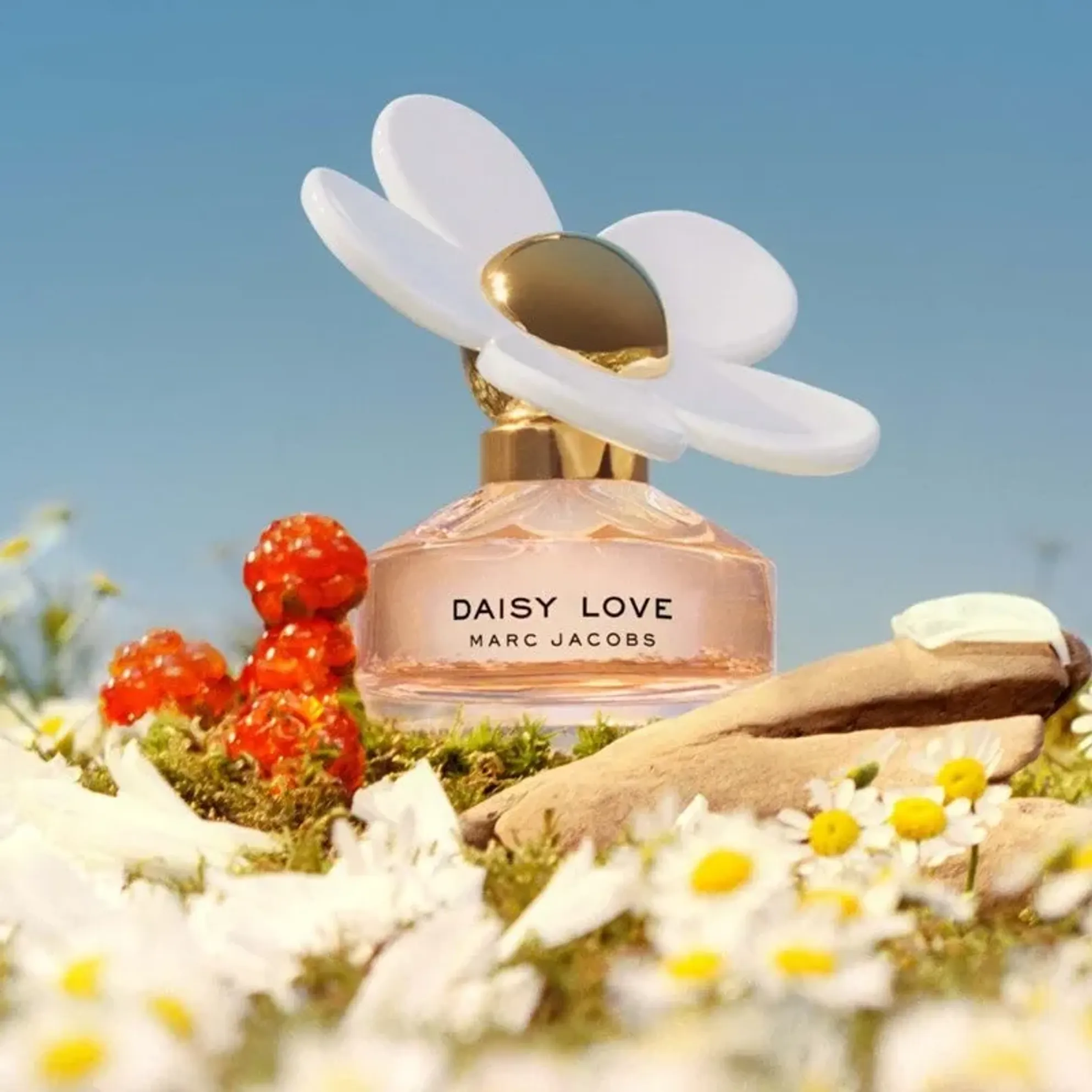 Nước Hoa Nữ Marc Jacobs Daisy Love Edt