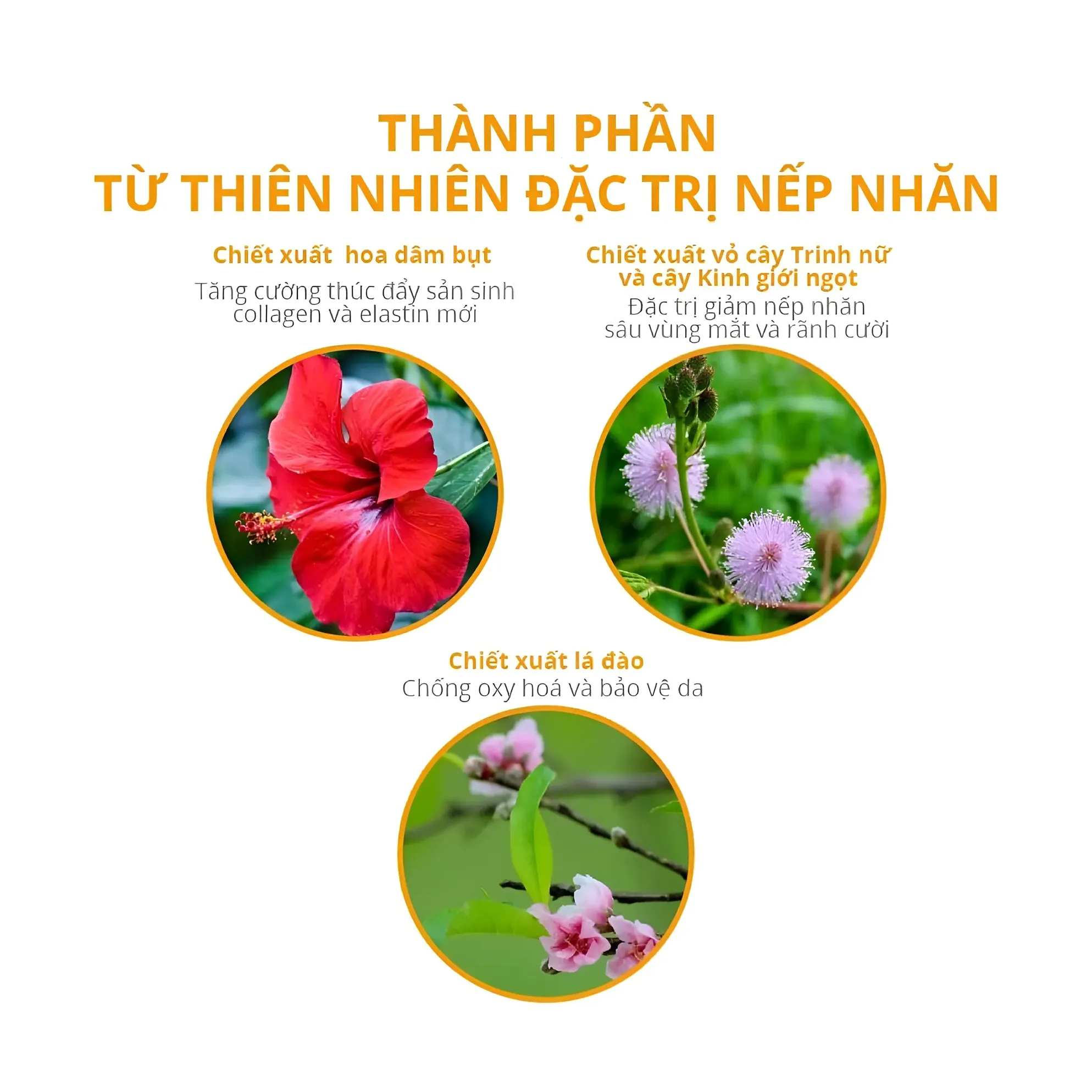 Kem Làm Mờ Nếp Nhăn Mắt Naris Dearse Wrinkle Deep Focus Eye Crème 15G