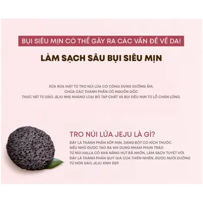 3-sua-rua-mat-the-face-shop-lam-sach-lo-chan-long-2