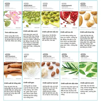 3-mat-na-duong-da-the-face-shop-real-nature-face-mask-2