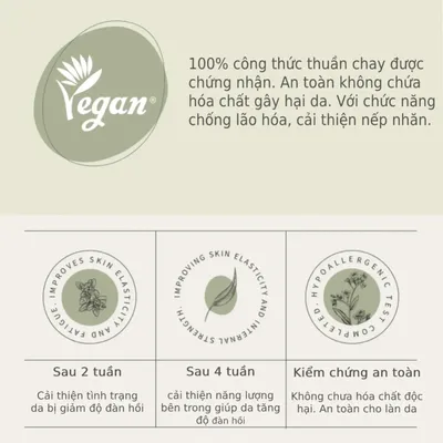 bo-duong-da-thuan-chay-the-face-shop-cap-am-cai-thien-nep-nhan-da-the-therapy-vegan-blending-cream-special-set-4pcs-6