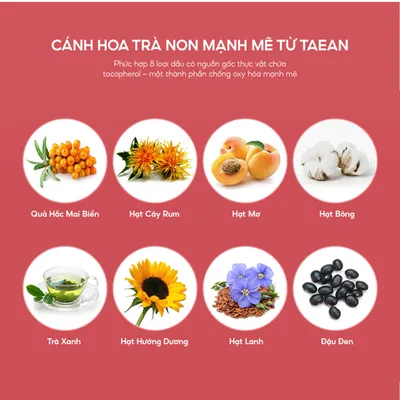 bo-duong-yehwadam-lam-deu-vung-da-bi-xin-mau-young-camellia-first-serum-special-set-2-san-pham-6