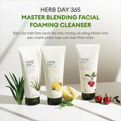 sua-rua-mat-tao-bot-danh-cho-da-dau-mun-the-face-shop-herb-day-365-master-blending-facial-foaming-cleanser-mung-bean-mugwort-100ml-5