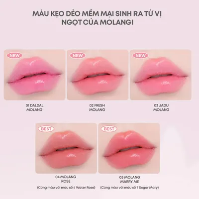 phien-ban-gioi-han-molang-son-thoi-new-sheer-6